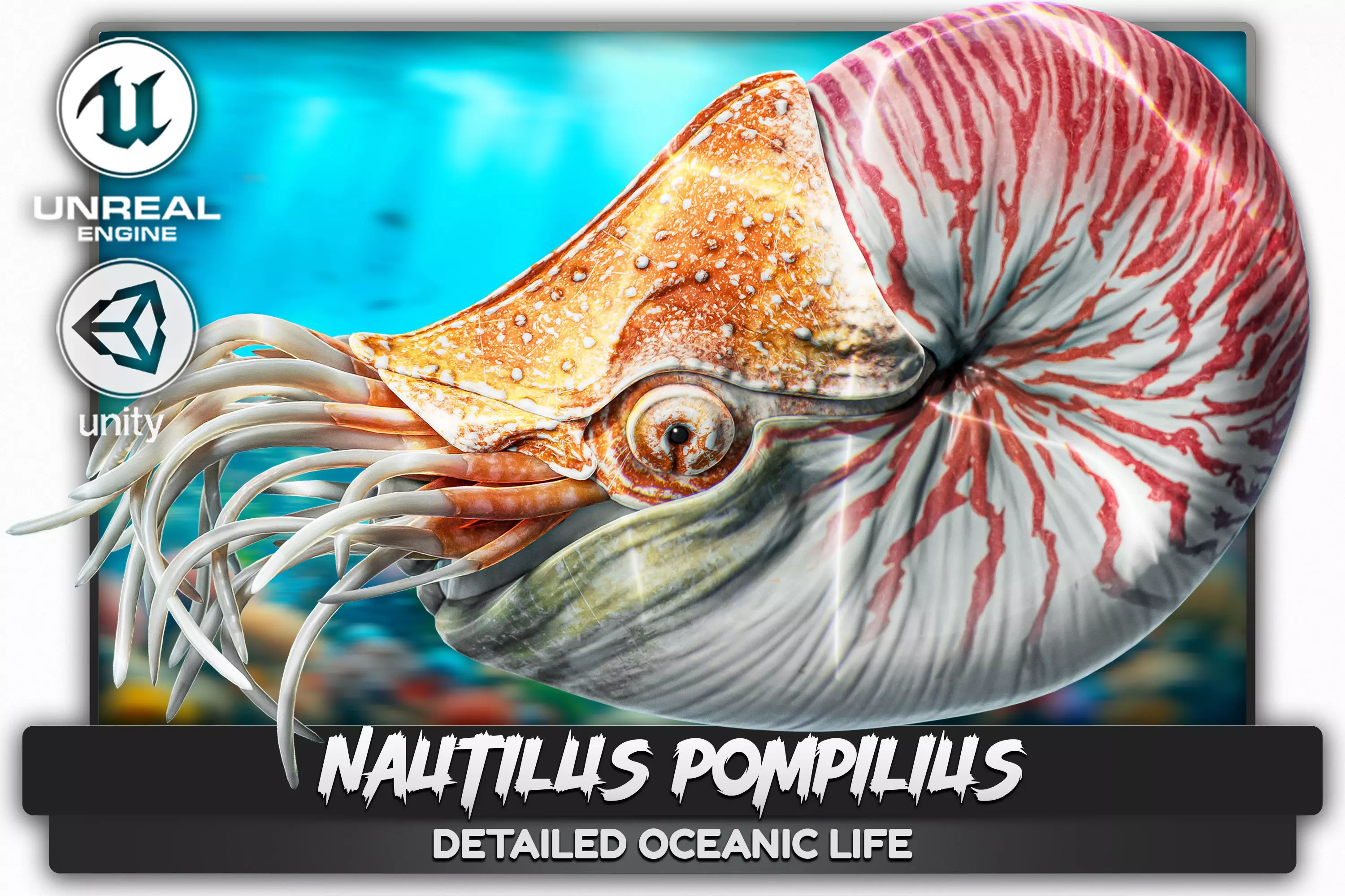 Nautilus Pompilius - Shell Mollusk - Underwater Tentacles - 44 Low-poly 3D model_0