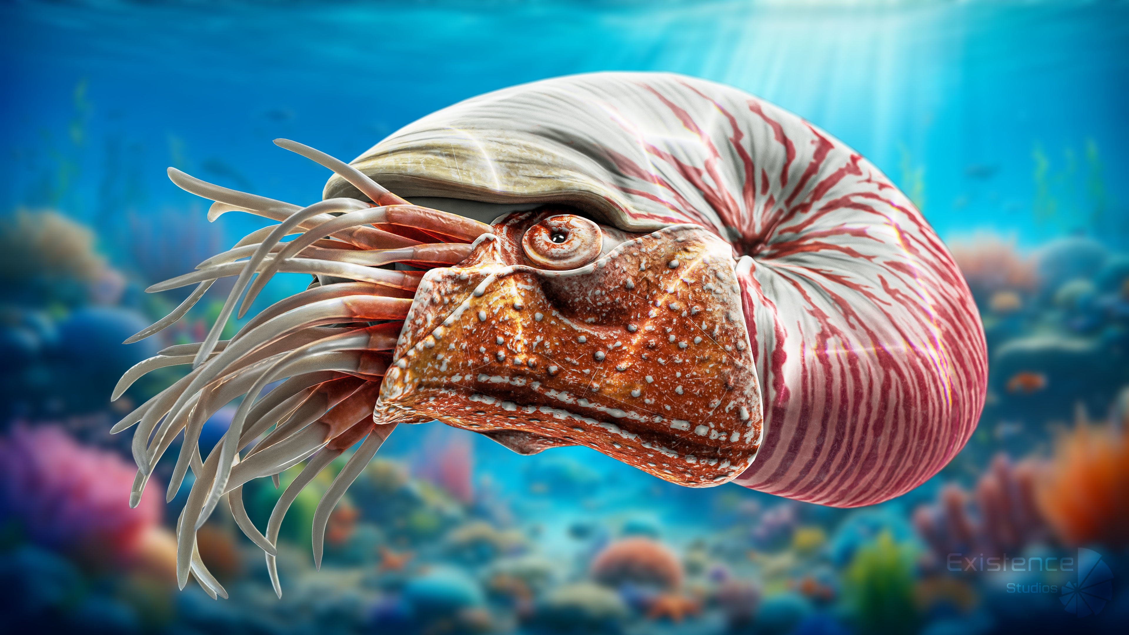 Nautilus Pompilius - Shell Mollusk - Underwater Tentacles - 44 Low-poly 3D model_5