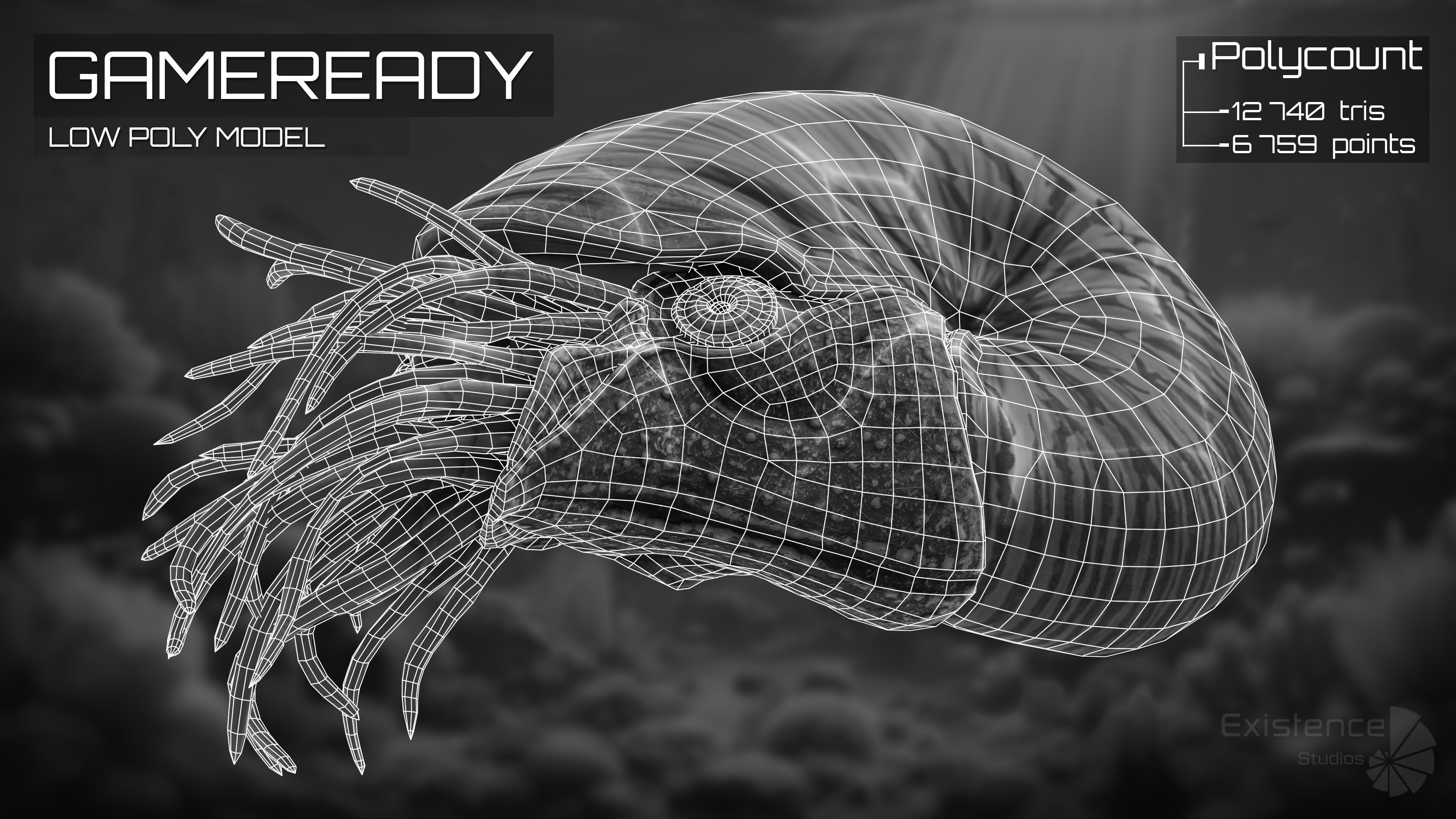 Nautilus Pompilius - Shell Mollusk - Underwater Tentacles - 44 Low-poly 3D model_6