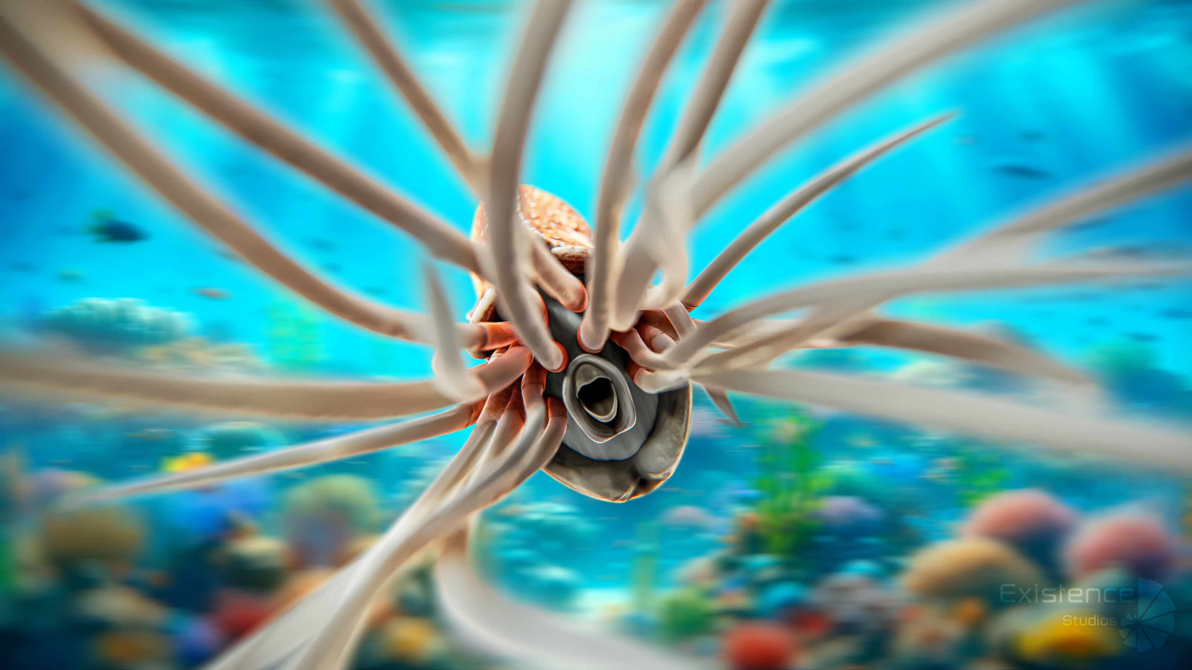 Nautilus Pompilius - Shell Mollusk - Underwater Tentacles - 44 Low-poly 3D model_7