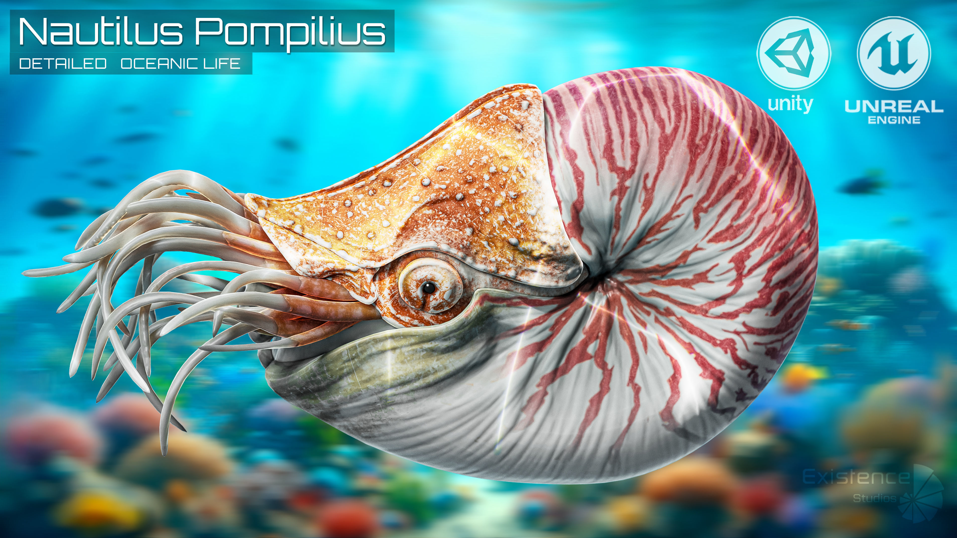 Nautilus Pompilius - Shell Mollusk - Underwater Tentacles - 44 Low-poly 3D model_3