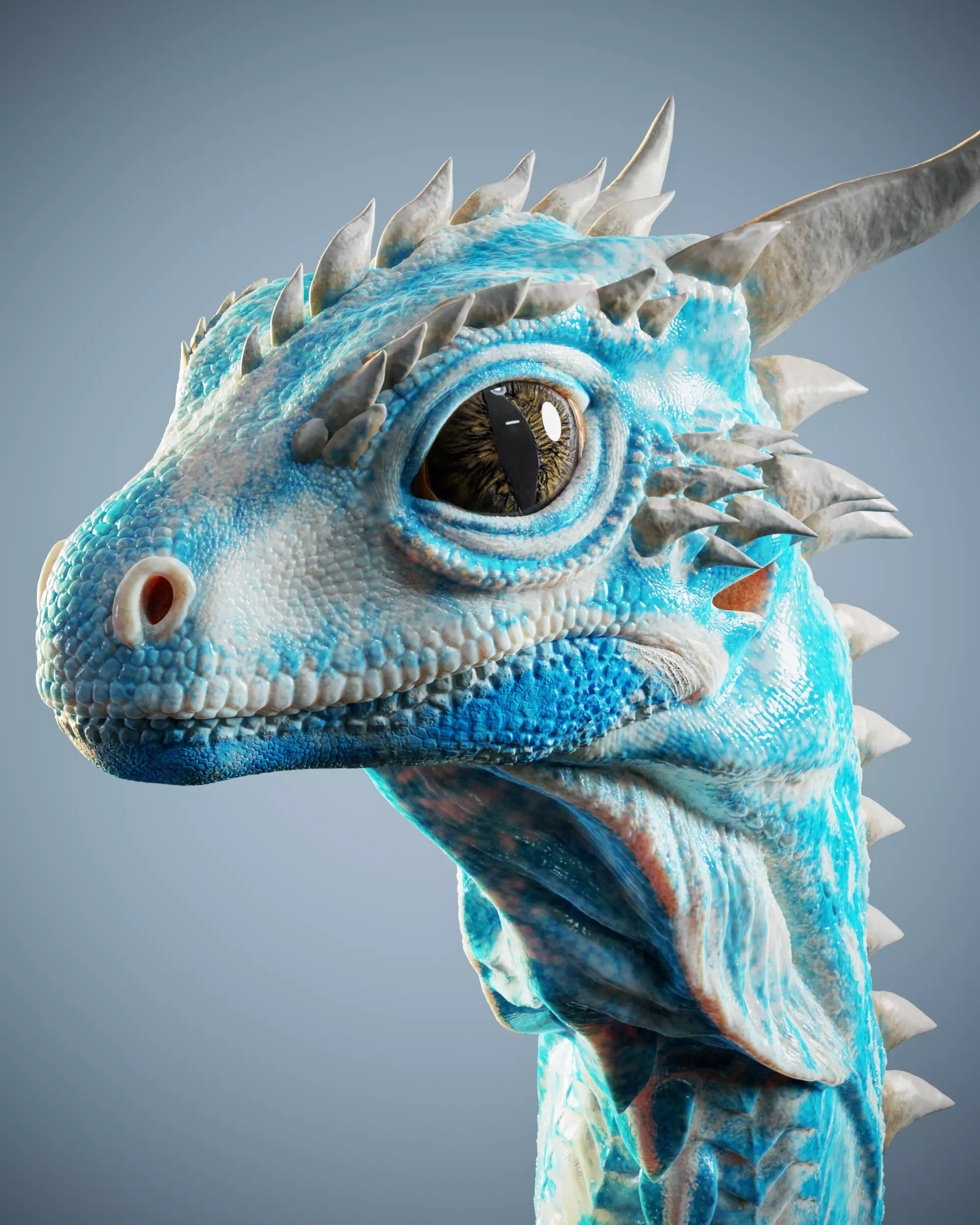 dragon 3D print model_0