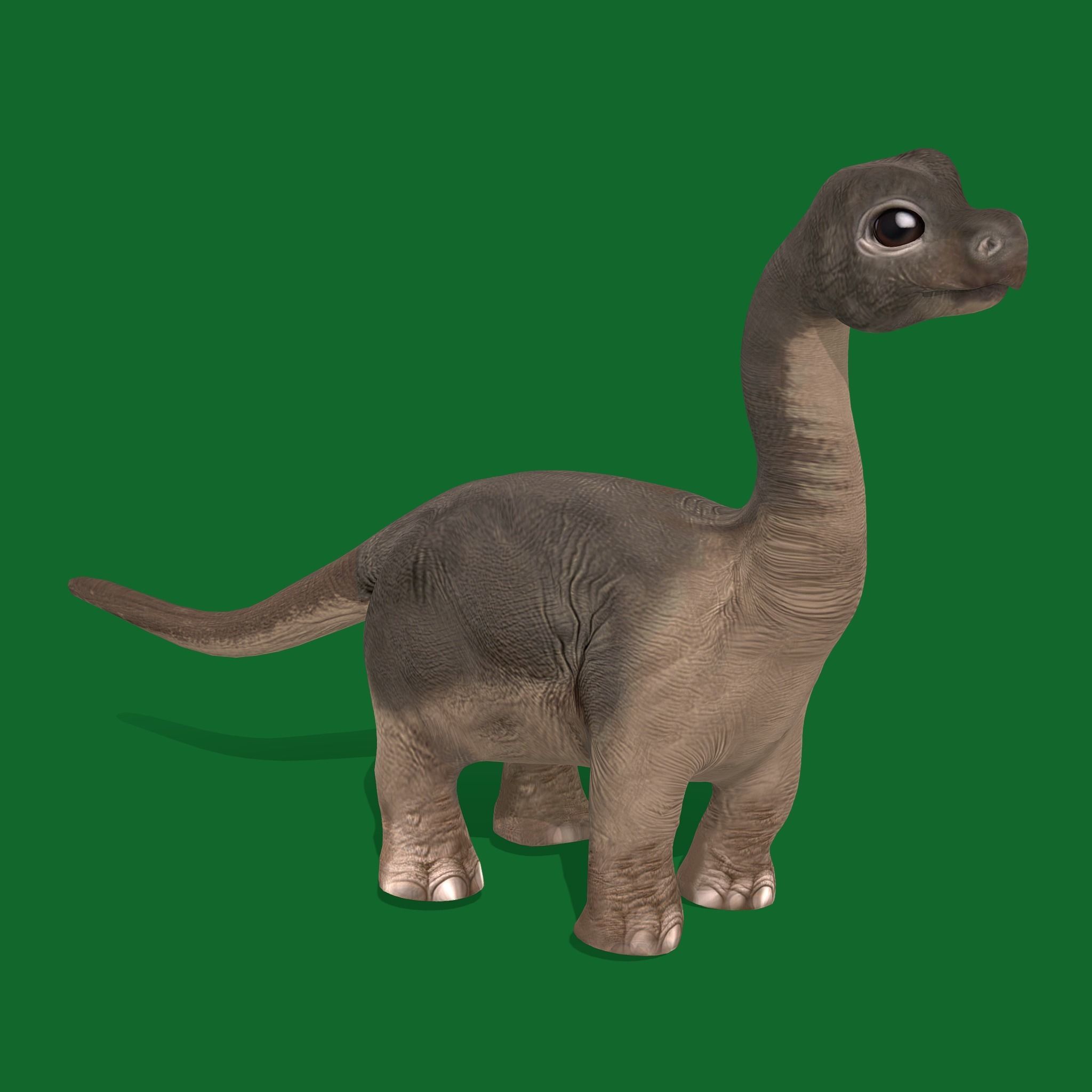 Brachiosaurus Baby Dinosaur Low-poly 3D model_24