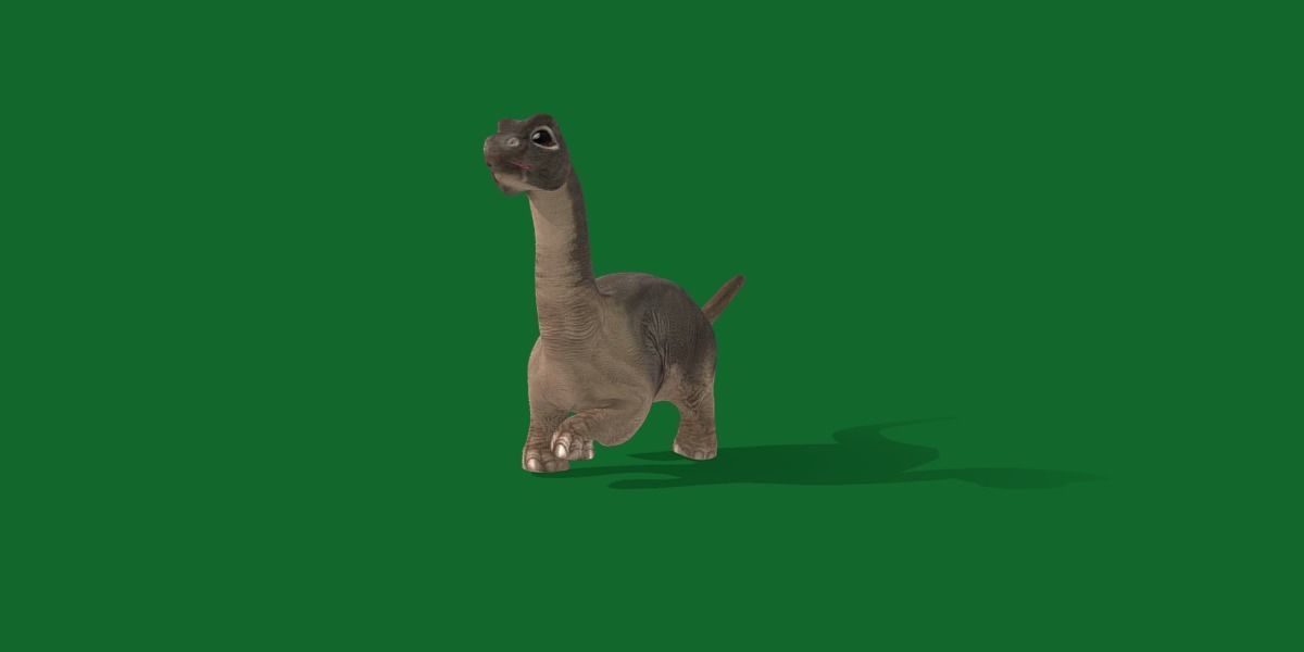 Brachiosaurus Baby Dinosaur Low-poly 3D model_25