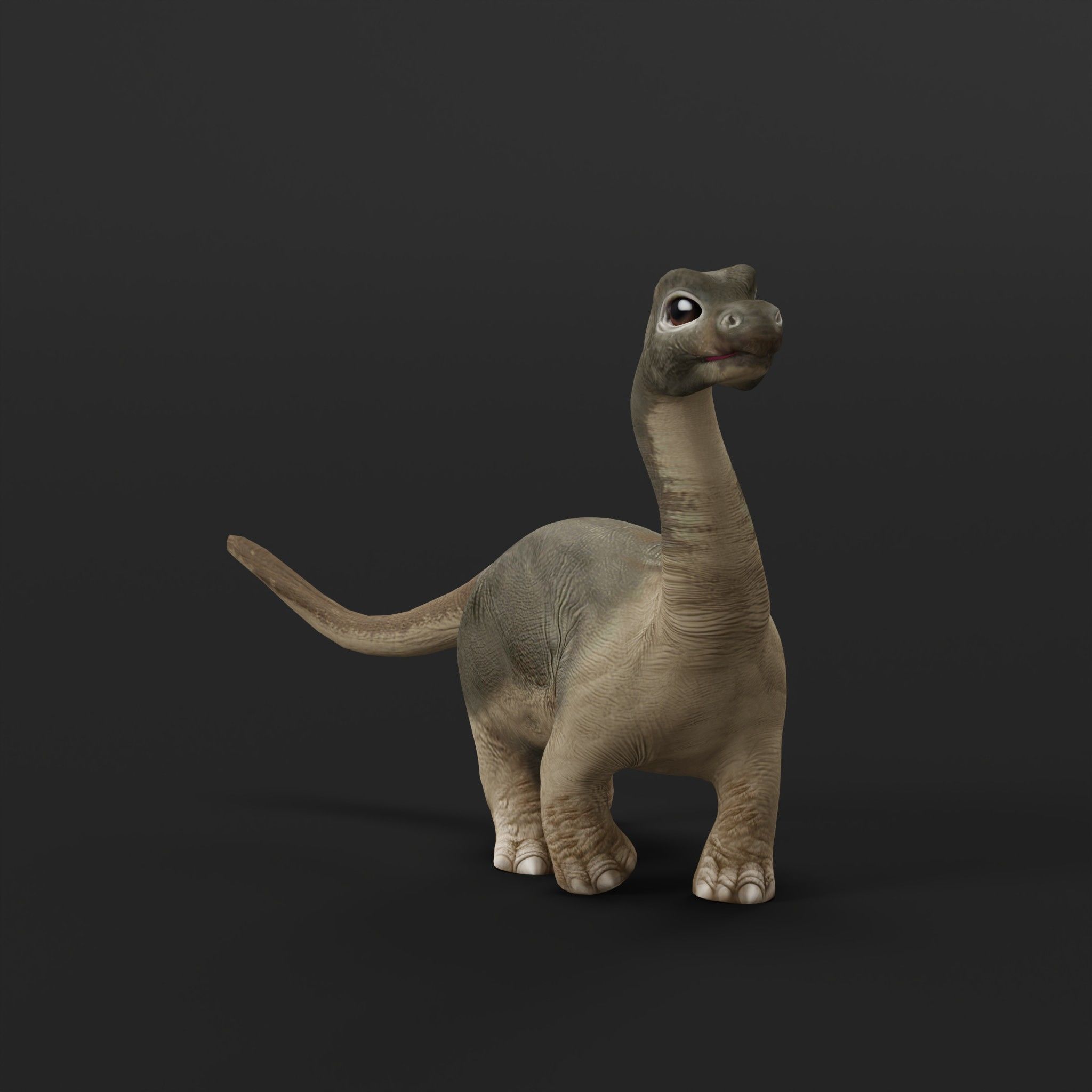 Brachiosaurus Baby Dinosaur Low-poly 3D model_9
