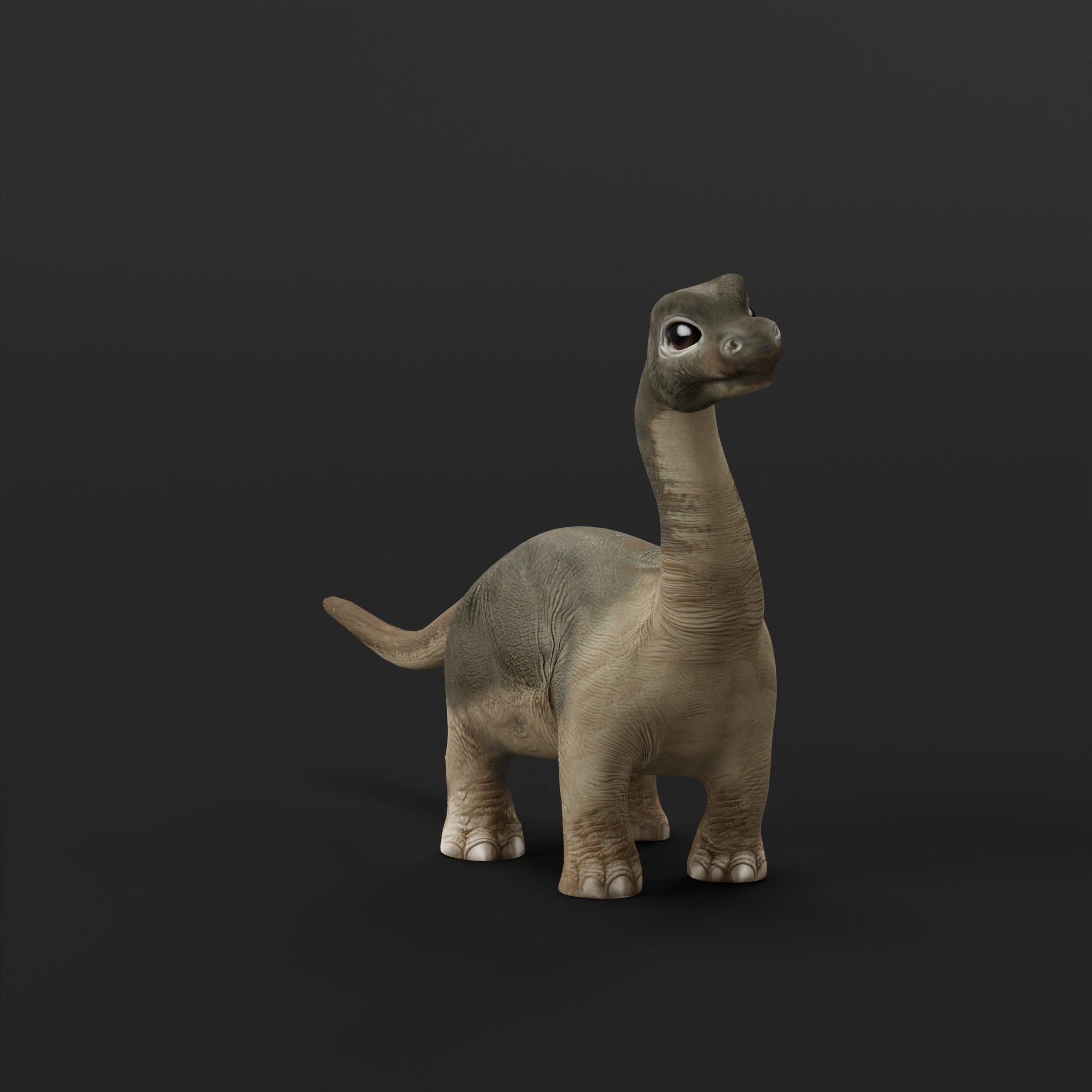 Brachiosaurus Baby Dinosaur Low-poly 3D model_4