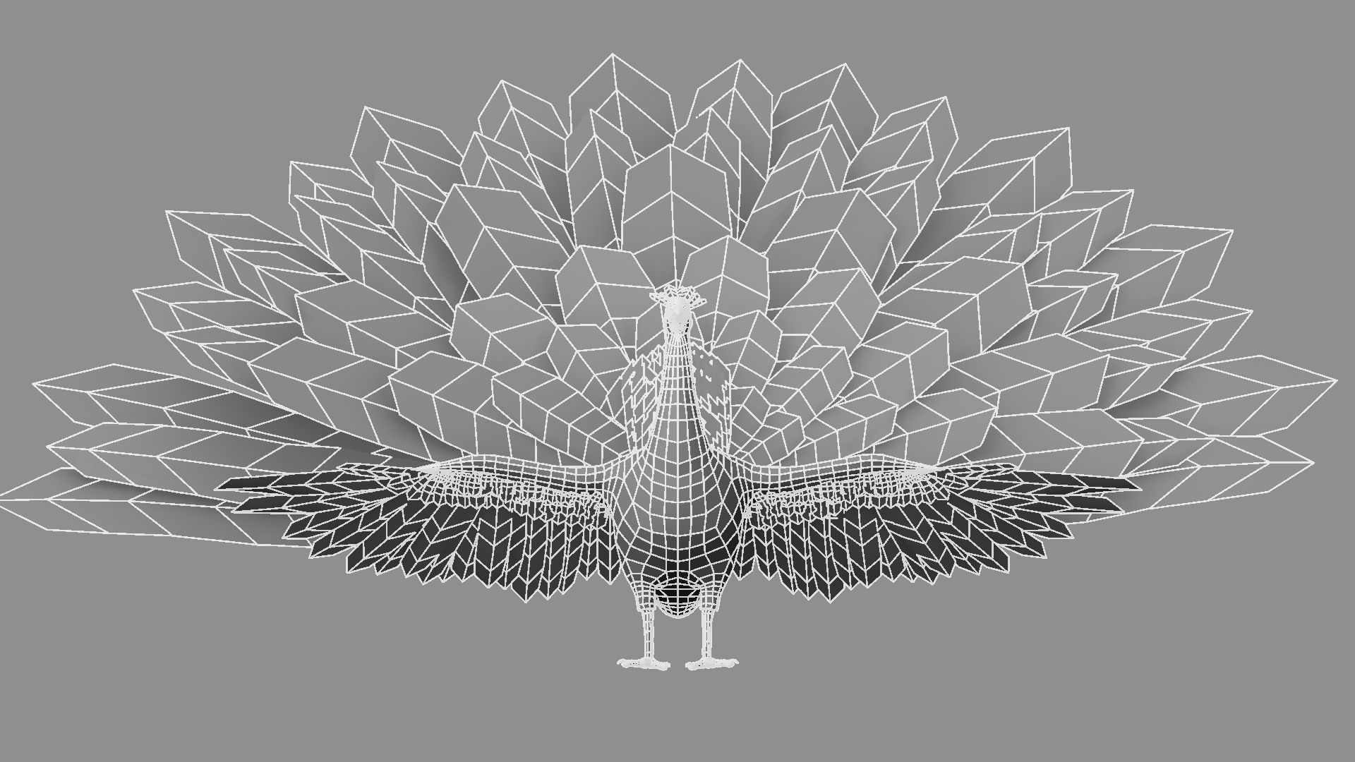 Peacock Rigged and Animation 3D model_25