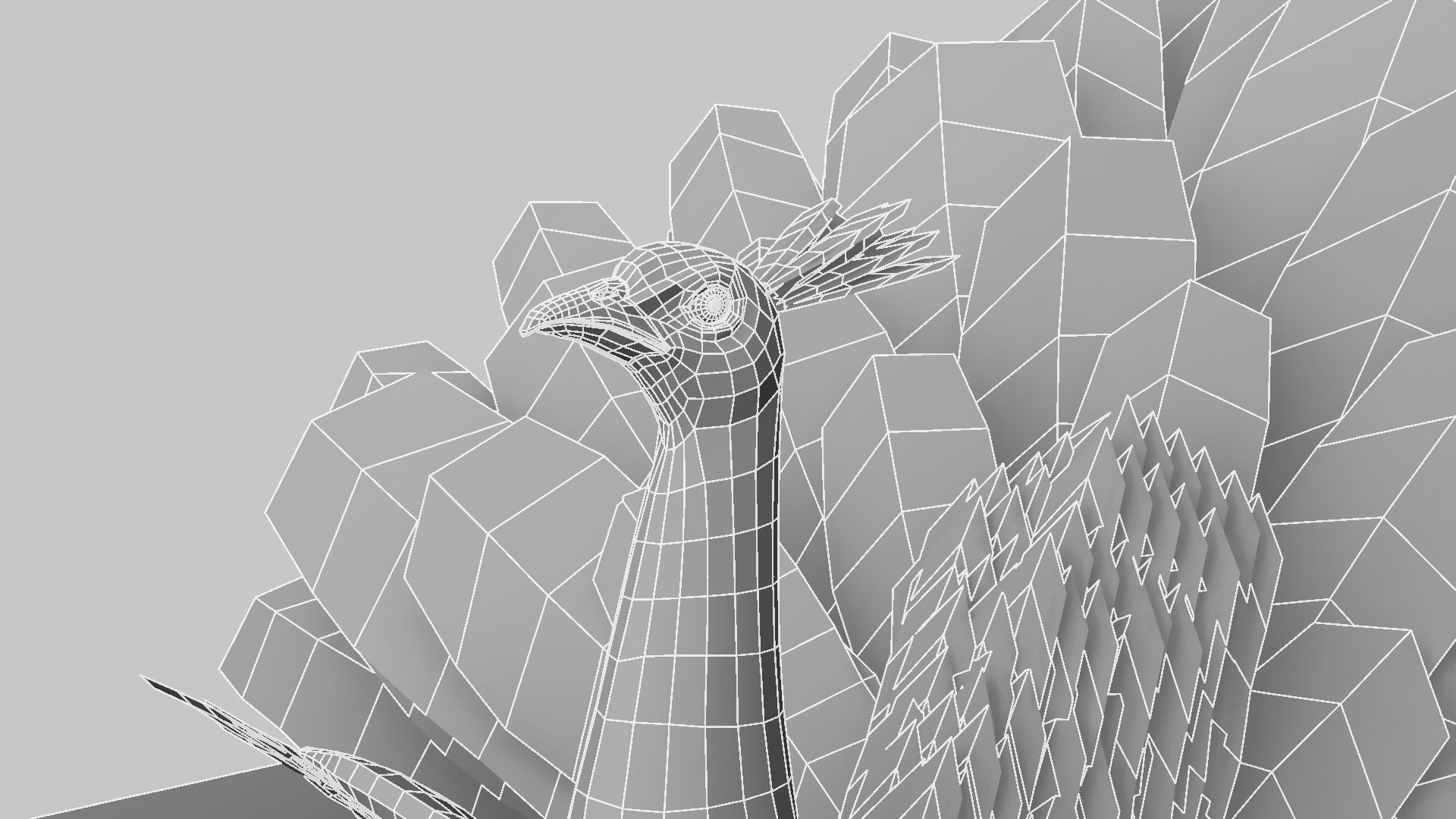 Peacock Rigged and Animation 3D model_16