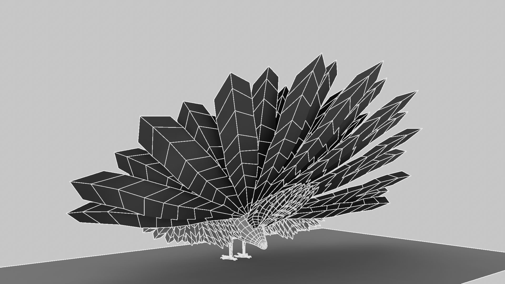 Peacock Rigged and Animation 3D model_11