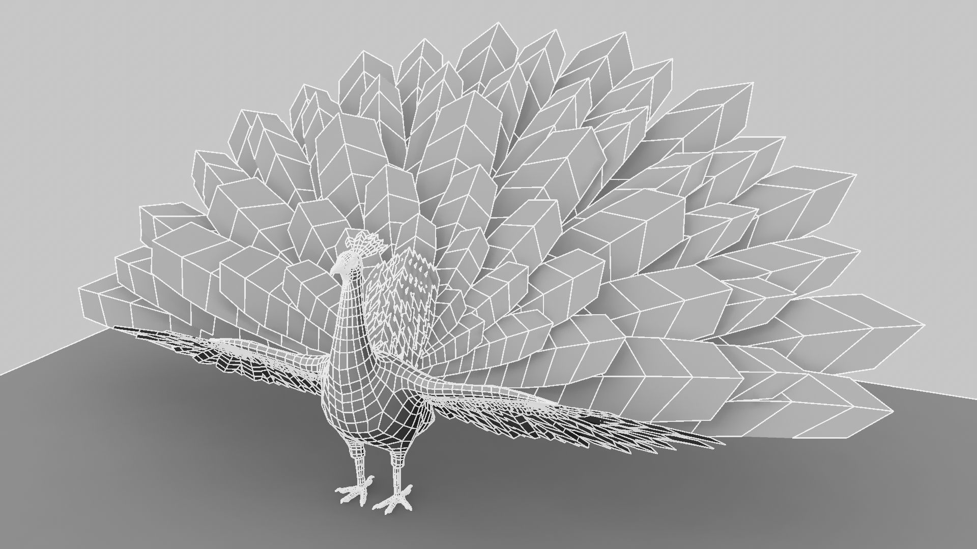 Peacock Rigged and Animation 3D model_10