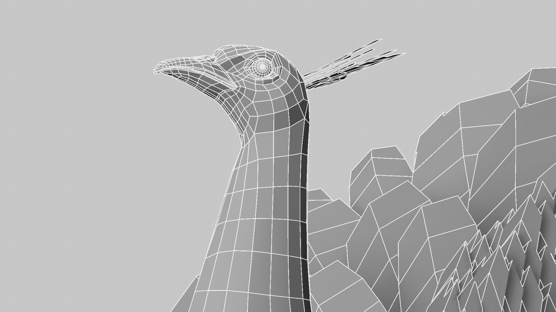 Peacock Rigged and Animation 3D model_21