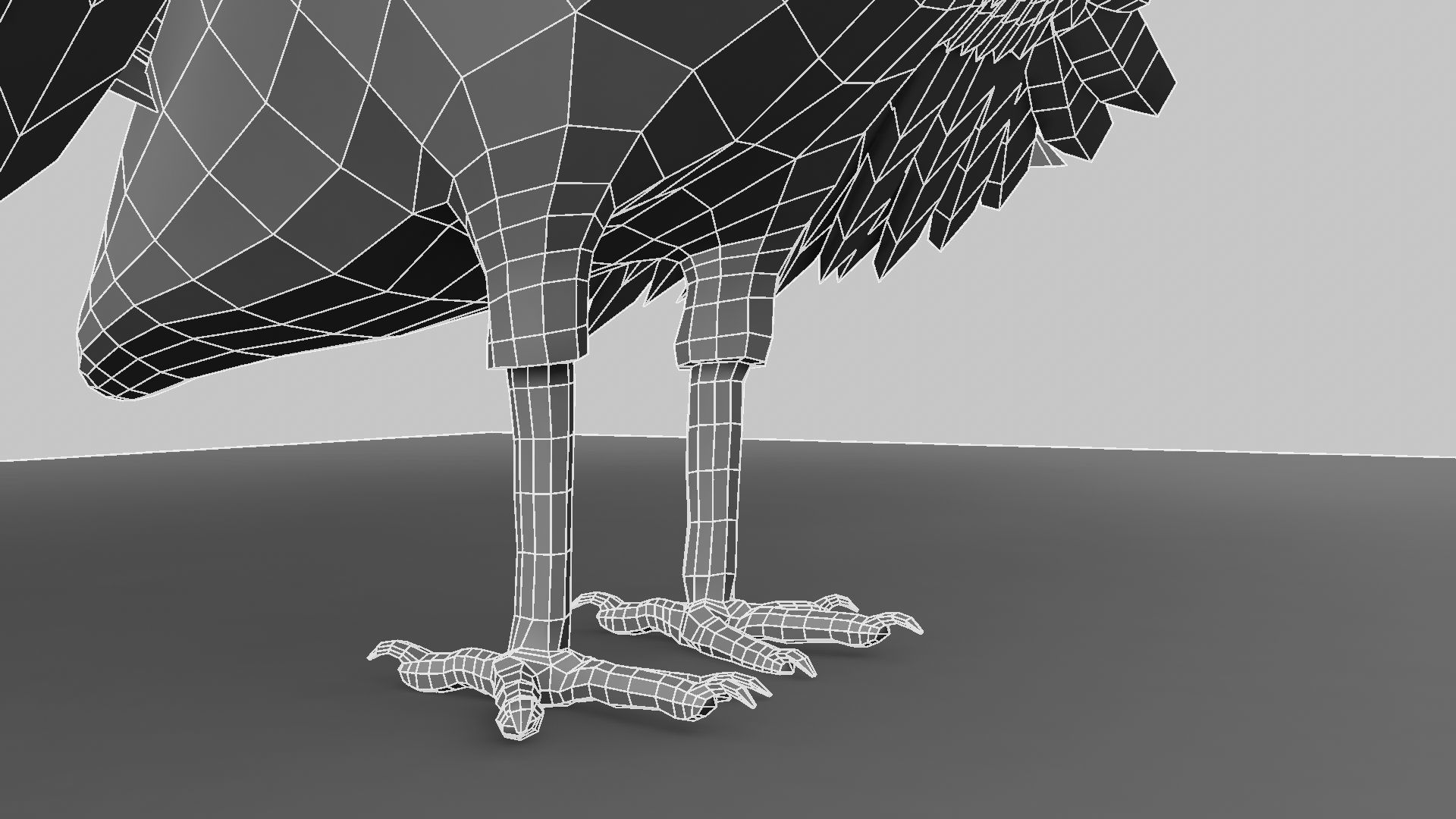 Peacock Rigged and Animation 3D model_18