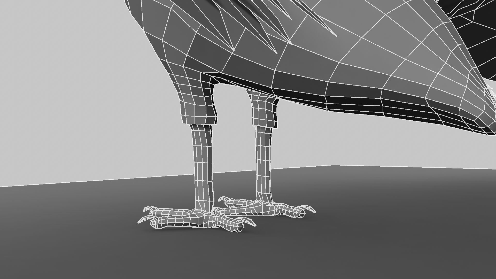 Peacock Rigged and Animation 3D model_20