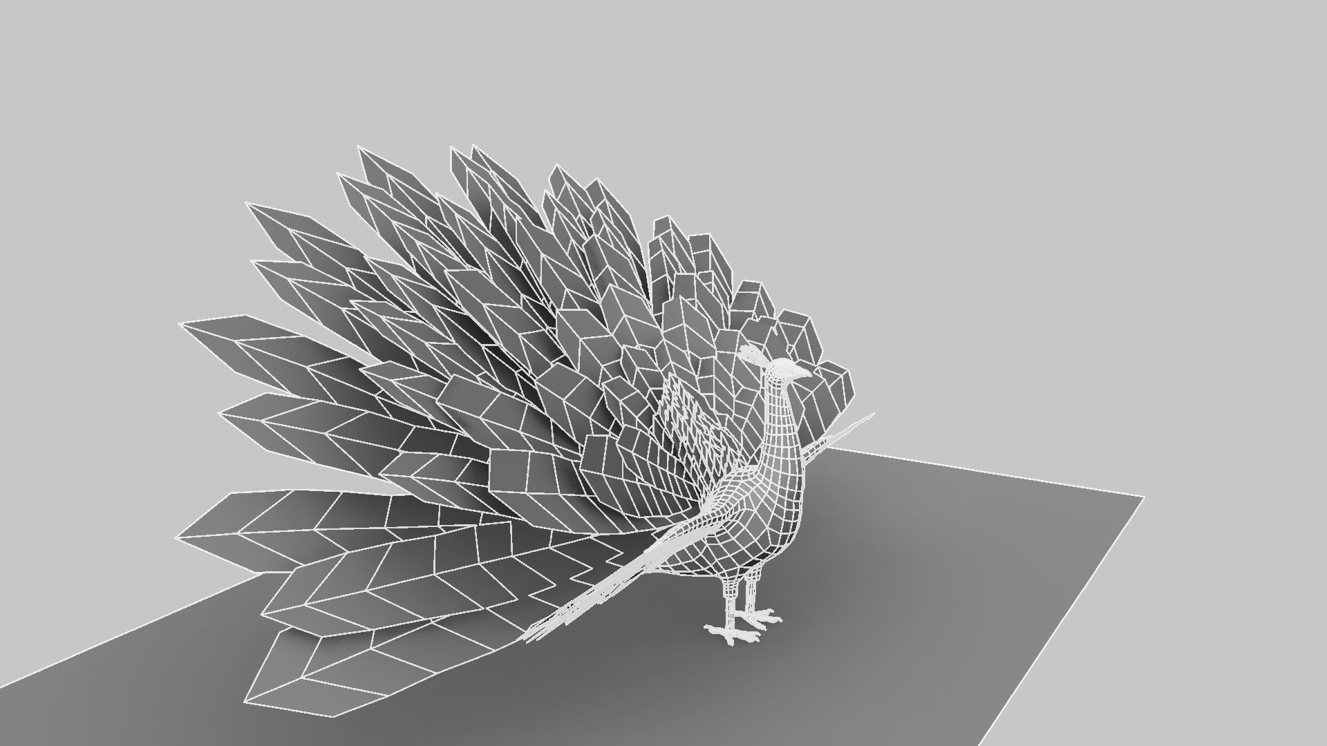 Peacock Rigged and Animation 3D model_14