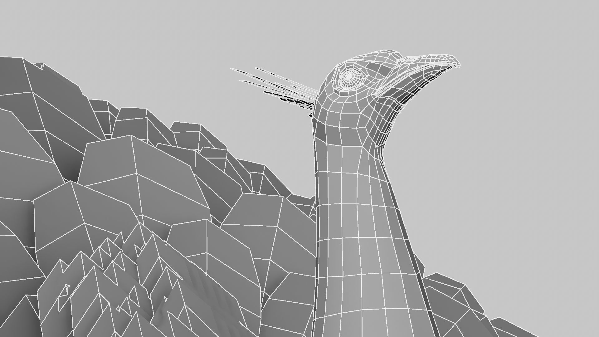 Peacock Rigged and Animation 3D model_22