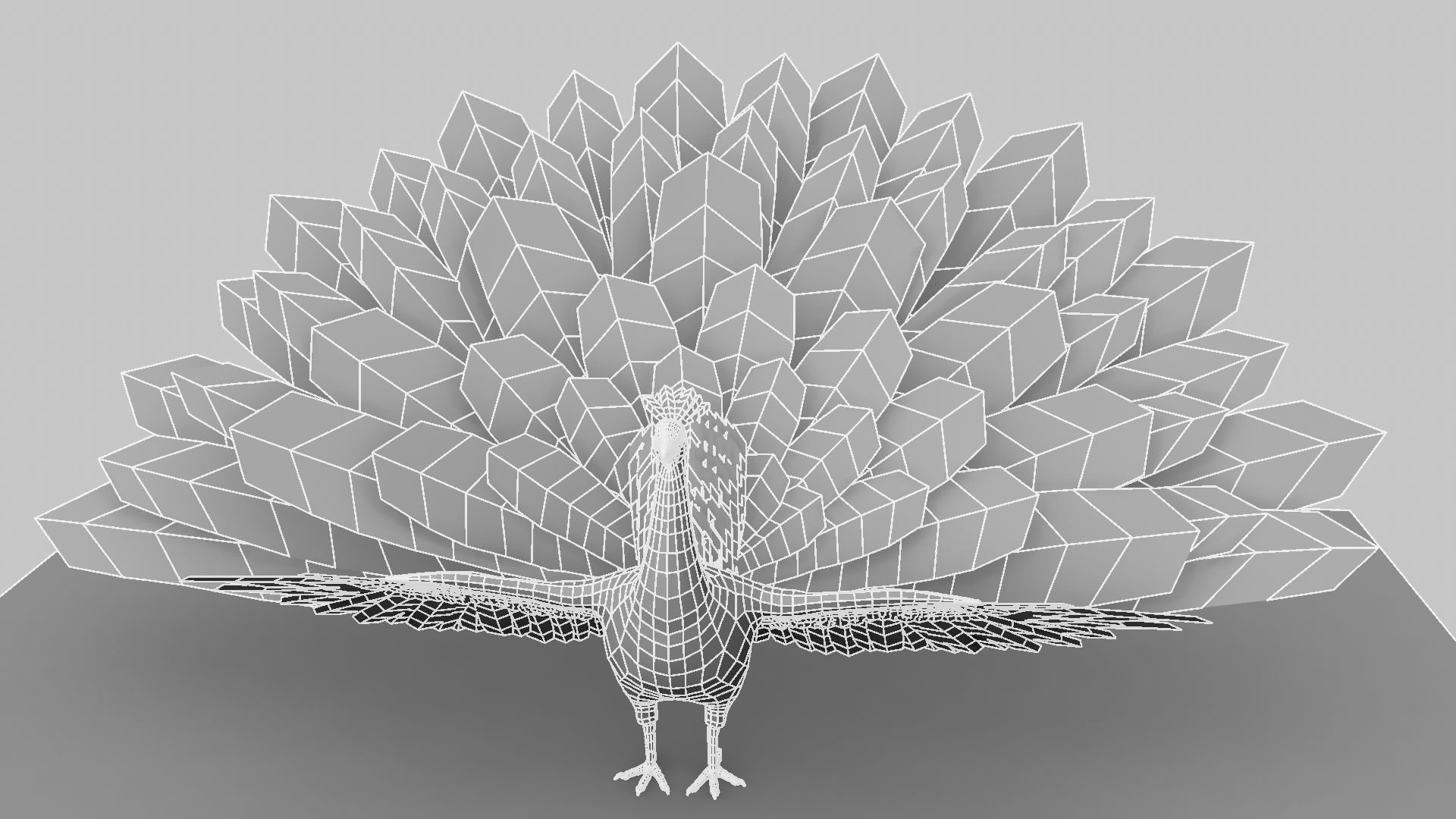 Peacock Rigged and Animation 3D model_9