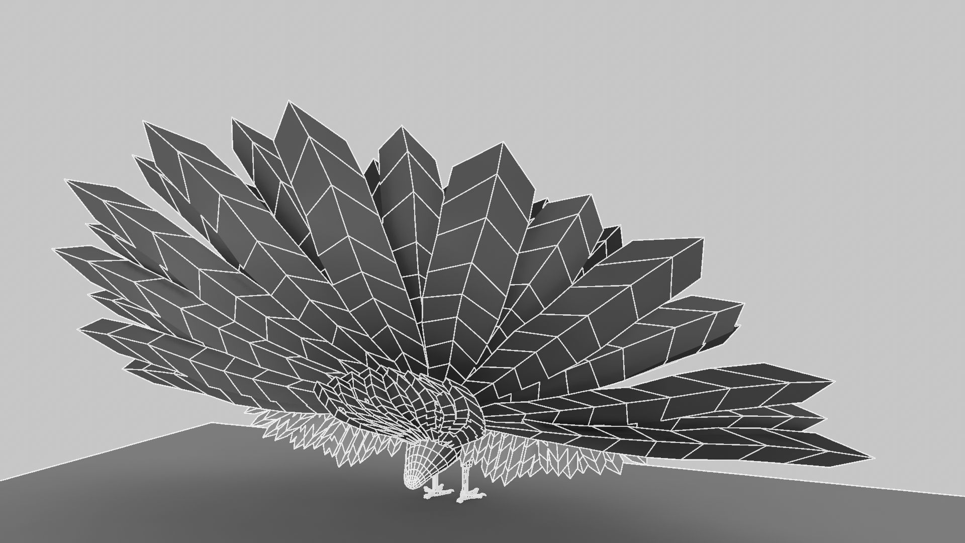Peacock Rigged and Animation 3D model_13