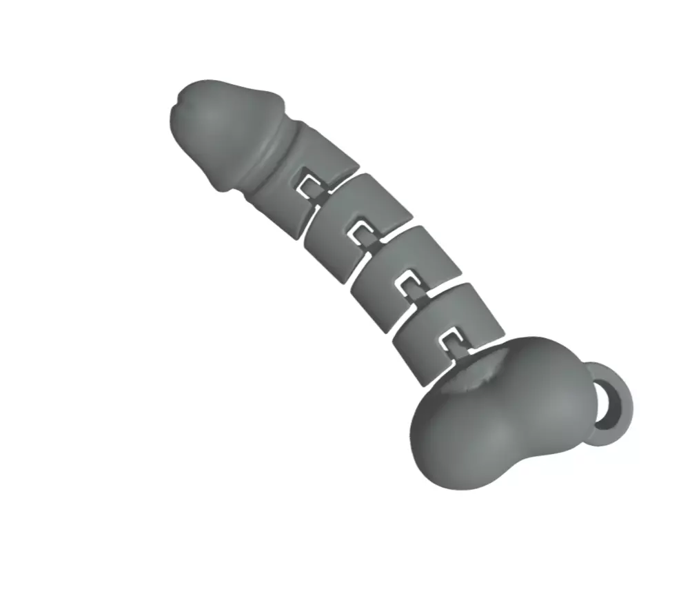 Dick - cock- keychain friendly flexy 3D print model_0