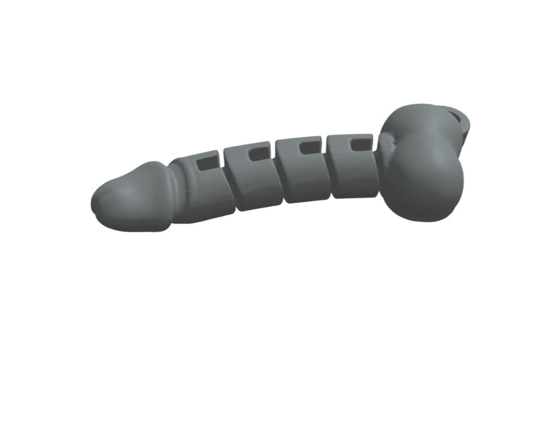 Dick - cock- keychain friendly flexy 3D print model_1
