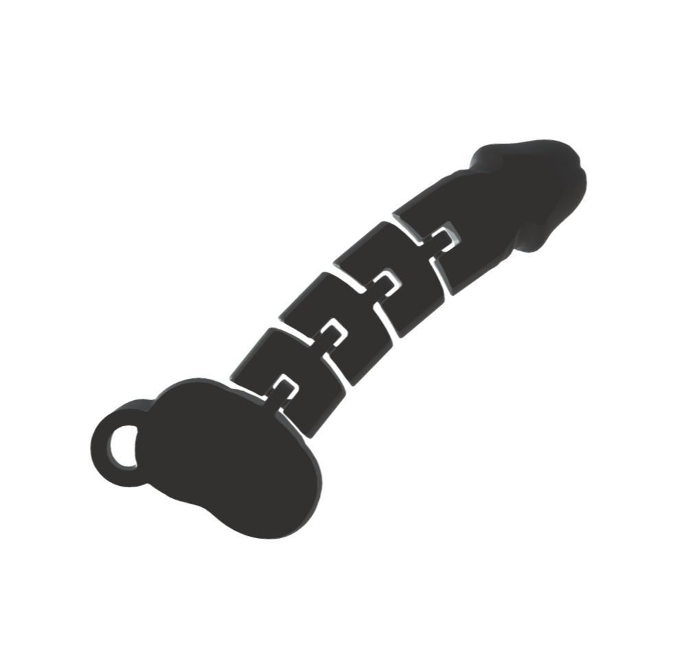 Dick - cock- keychain friendly flexy 3D print model_2