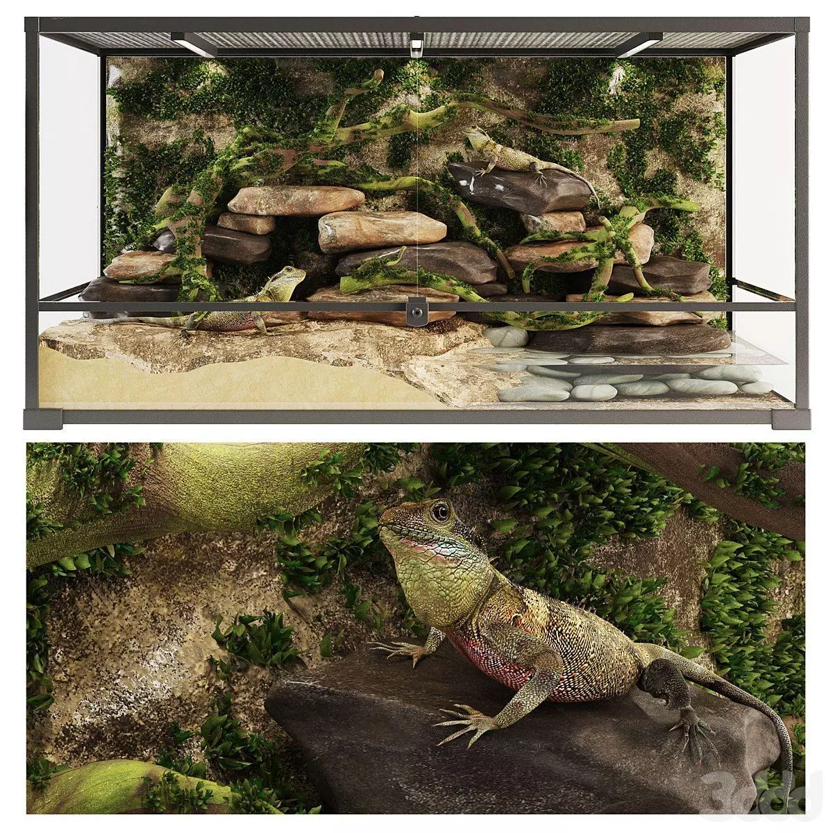 TERRARIUM 3D model_0