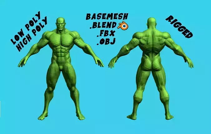 Stylized Muscular Male Anatomy Basemeshes 3D model