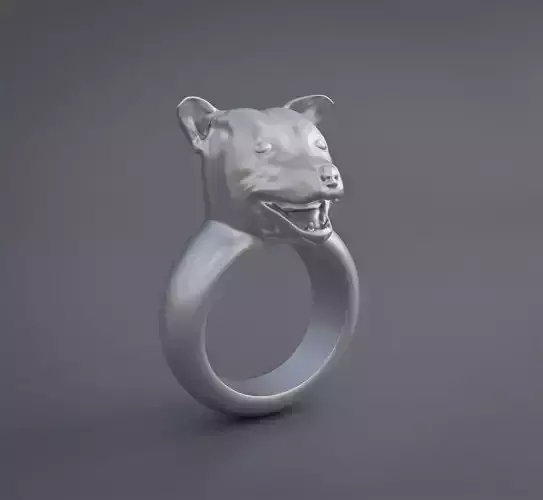 Pitbull Dog Ring