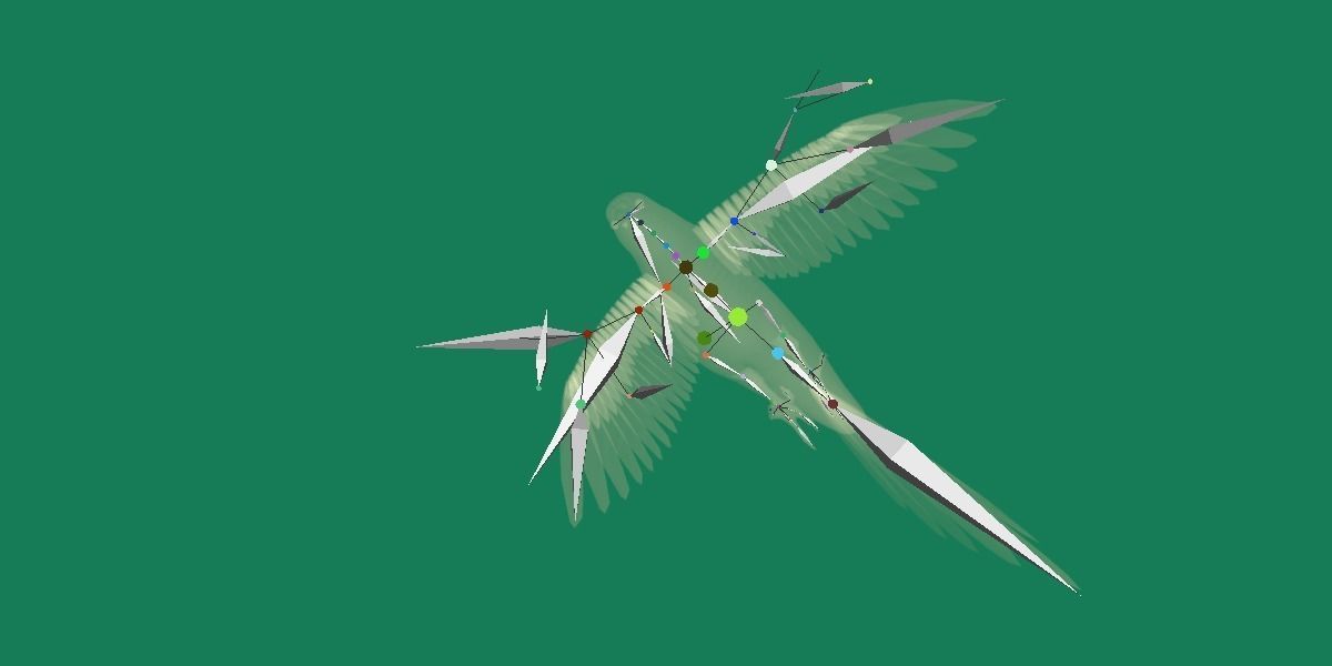 Budgerigar Parakeet Parrot Bird Low-poly 3D model_24