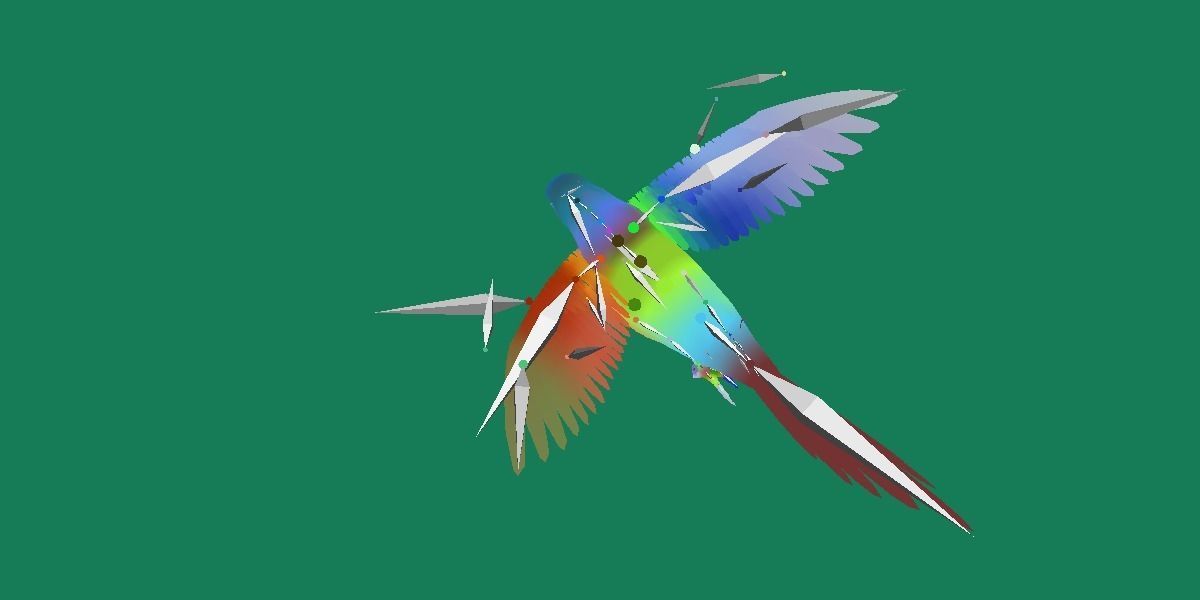 Budgerigar Parakeet Parrot Bird Low-poly 3D model_25