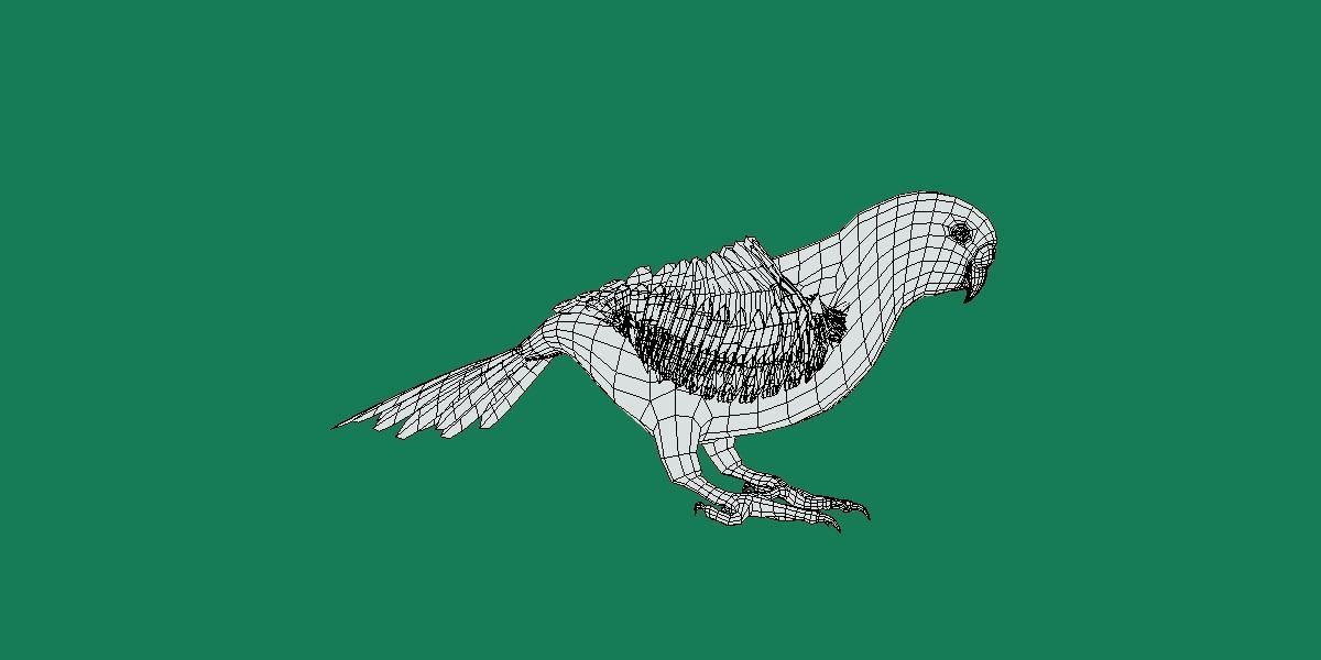 Budgerigar Parakeet Parrot Bird Low-poly 3D model_13