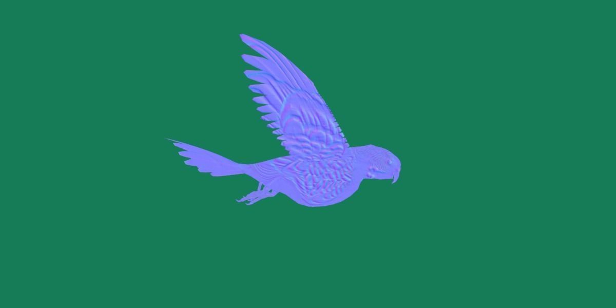 Budgerigar Parakeet Parrot Bird Low-poly 3D model_7