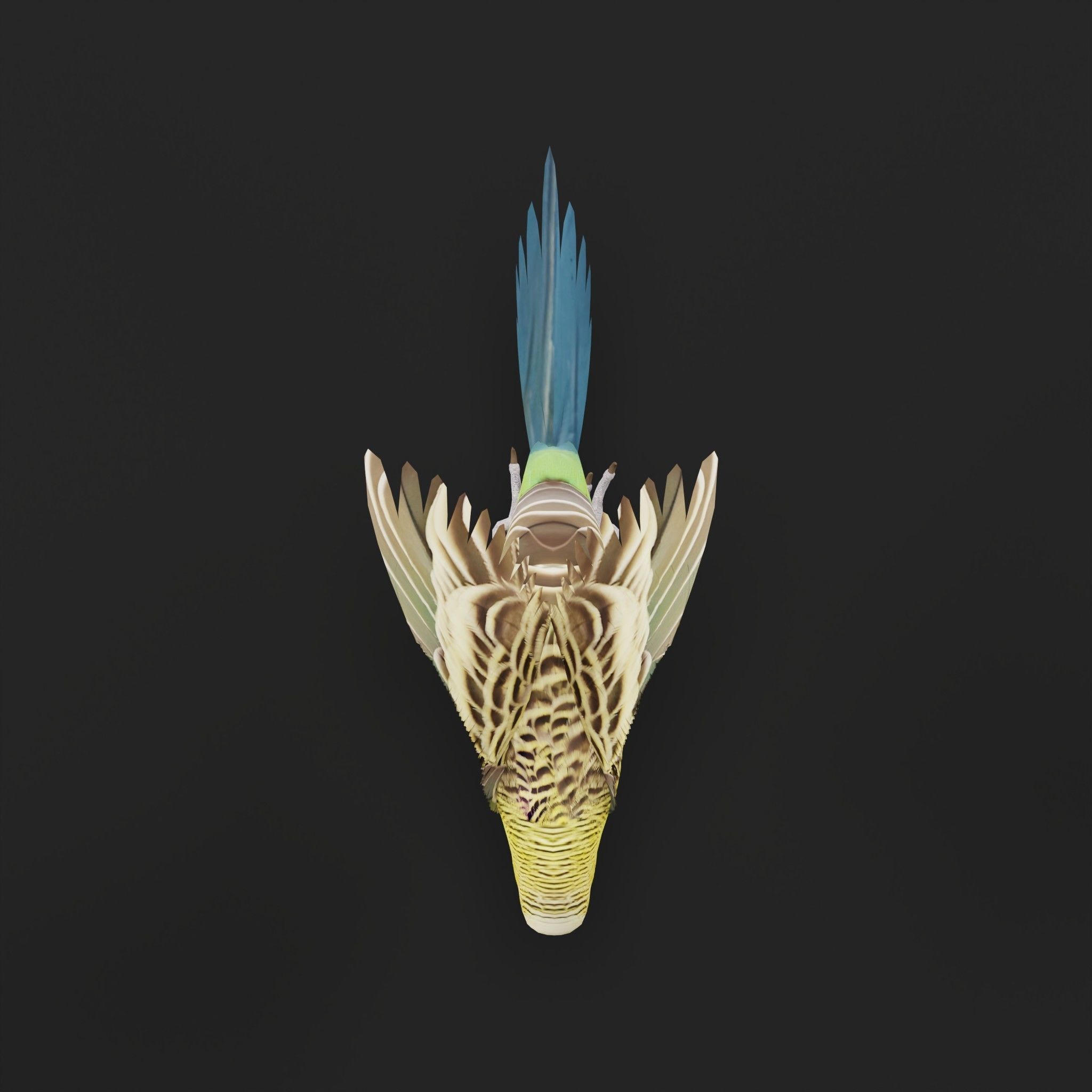 Budgerigar Parakeet Parrot Bird Low-poly 3D model_32