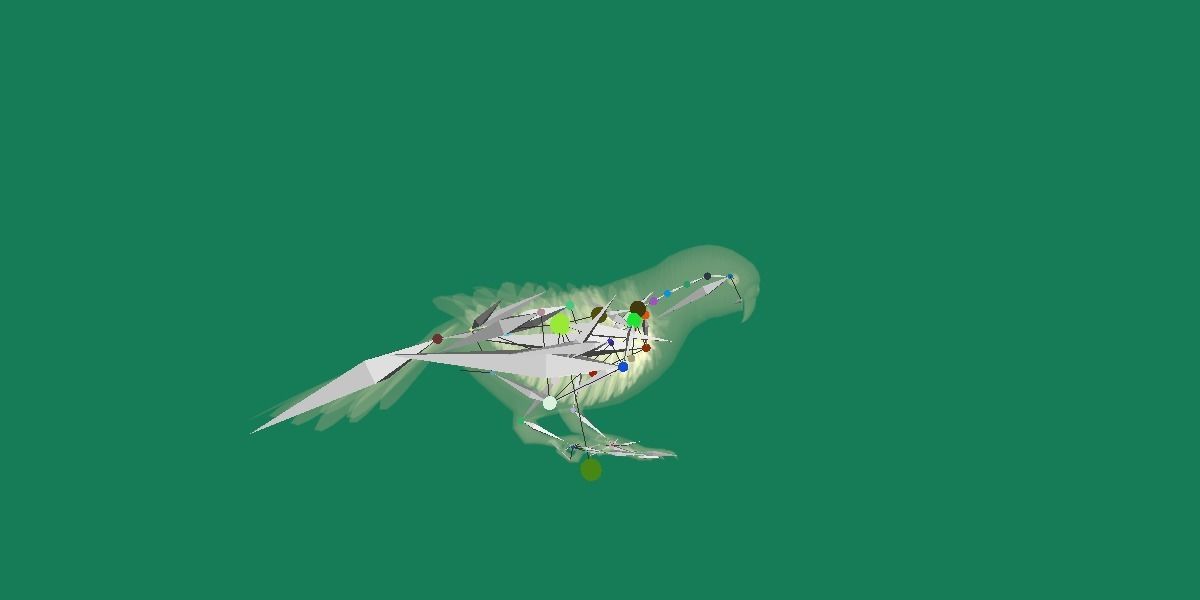 Budgerigar Parakeet Parrot Bird Low-poly 3D model_23