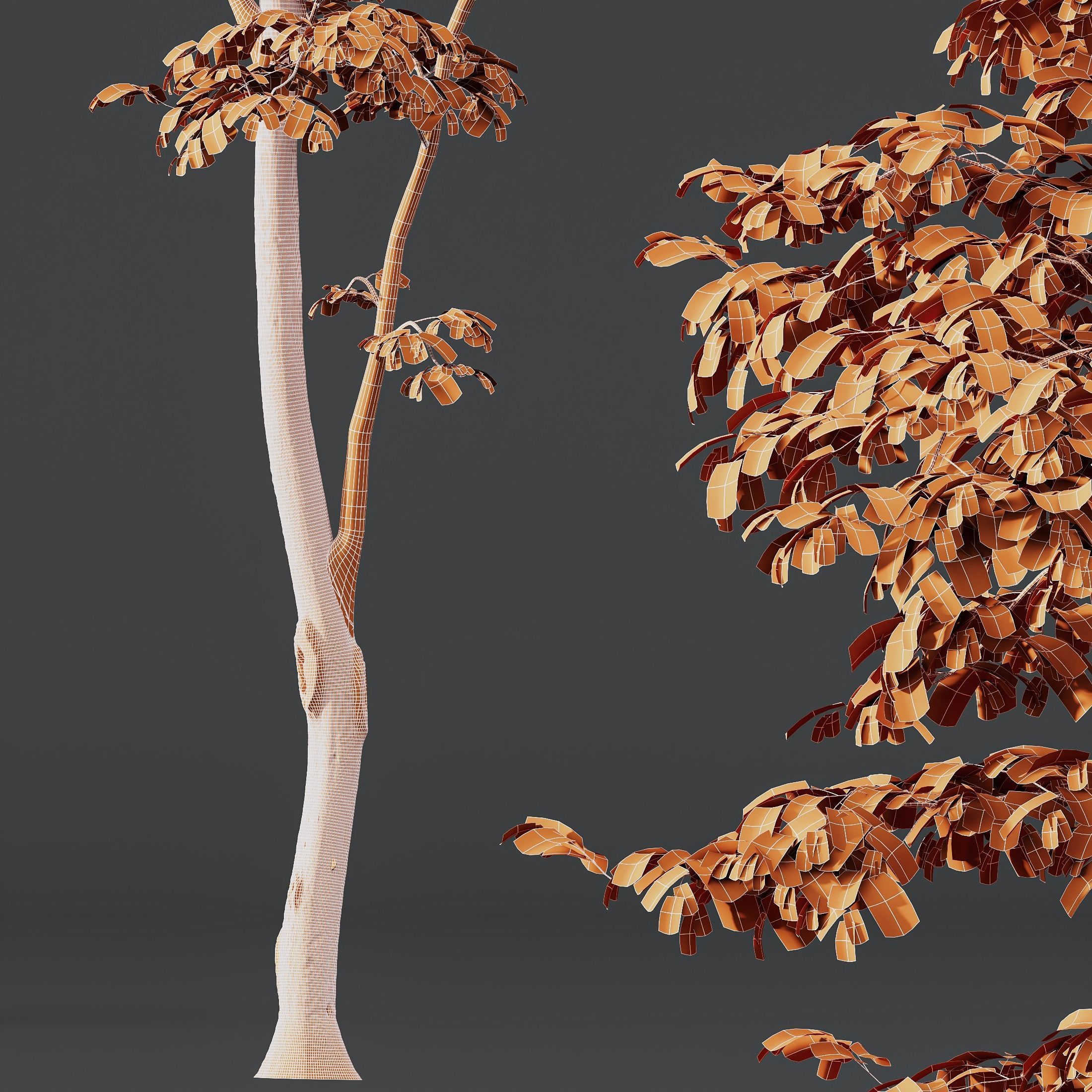 Beautiful Trees Carpinus Betulus and Japanese Cherry Leaf 3D model_2