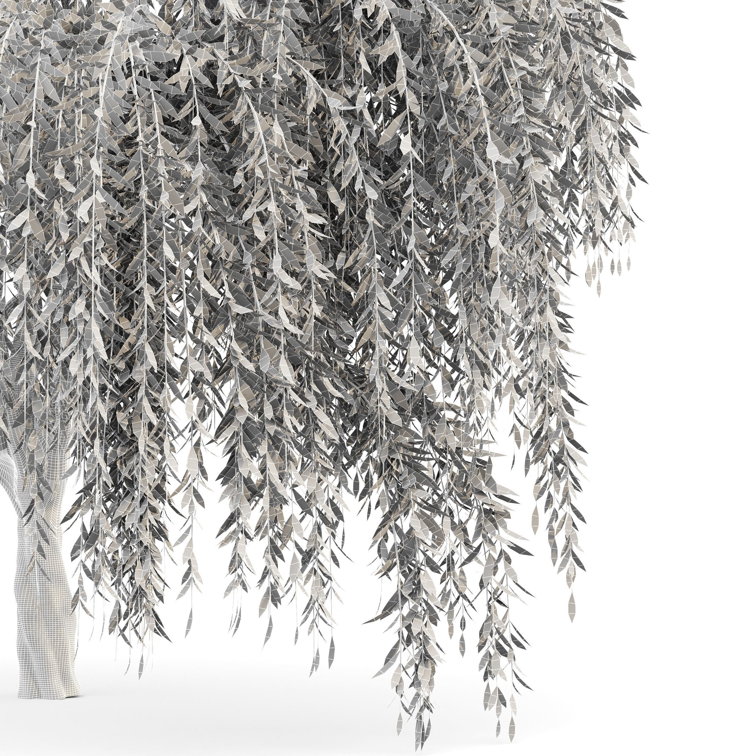 Angel Oak Live Tree Spanish Moss and Weeping Willow 3D model_5