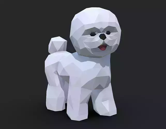 Bichon Frise