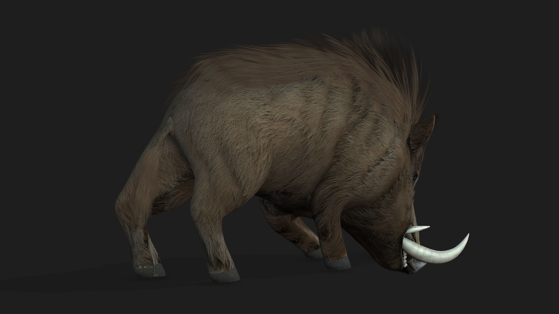 Boar-A2 3D model_8