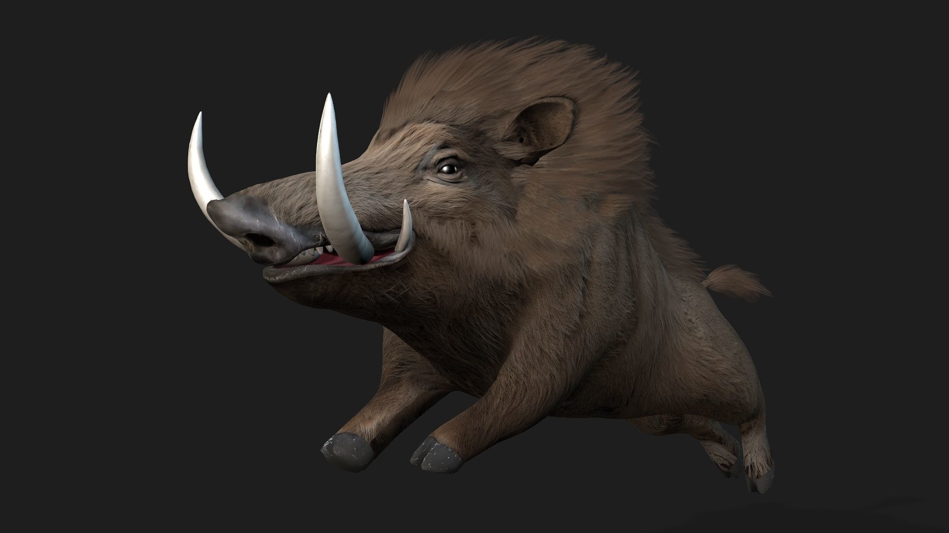 Boar-A2 3D model_3