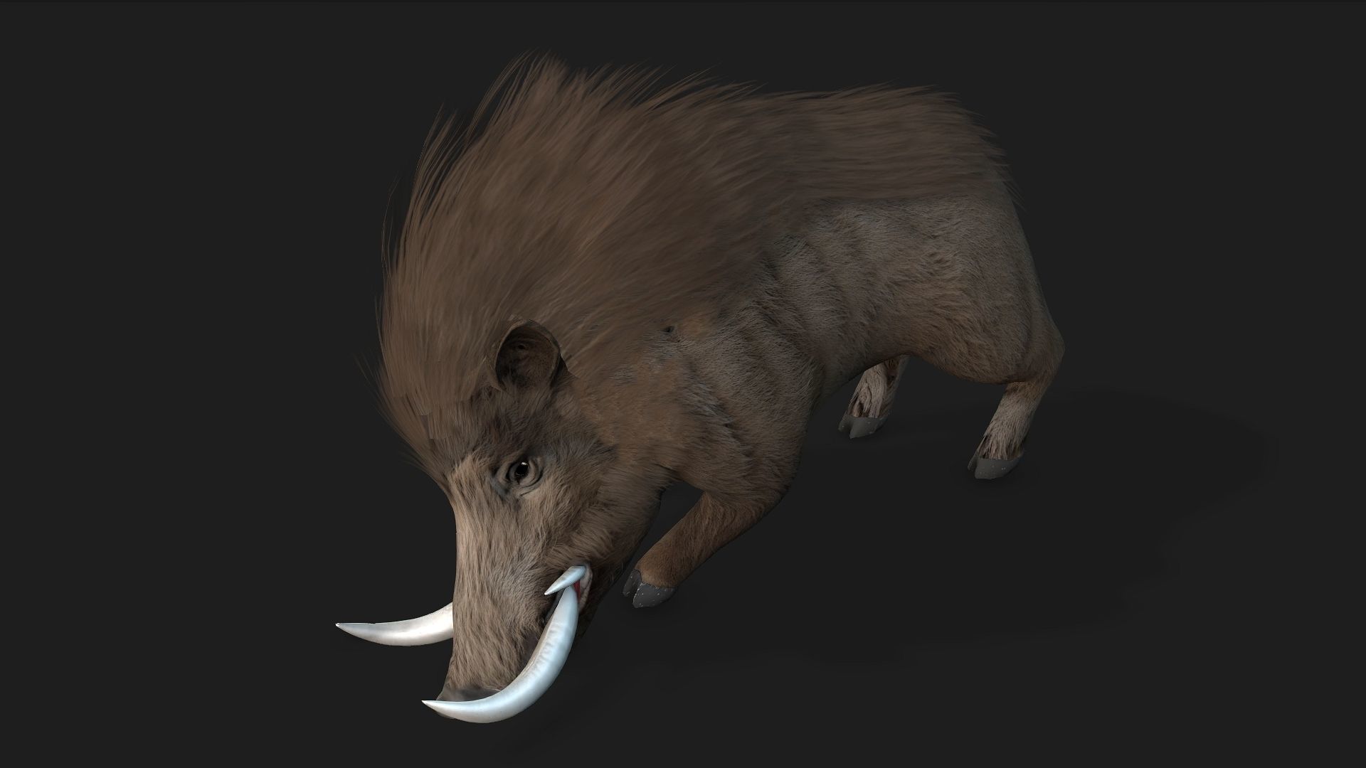 Boar-A2 3D model_7