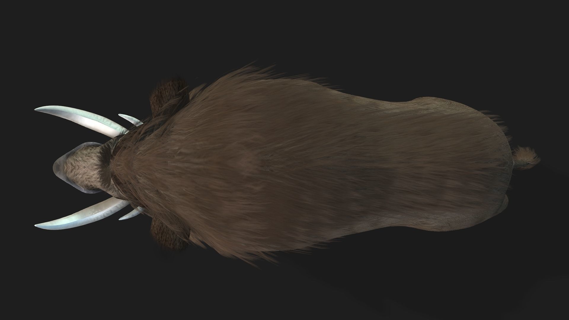 Boar-A2 3D model_12