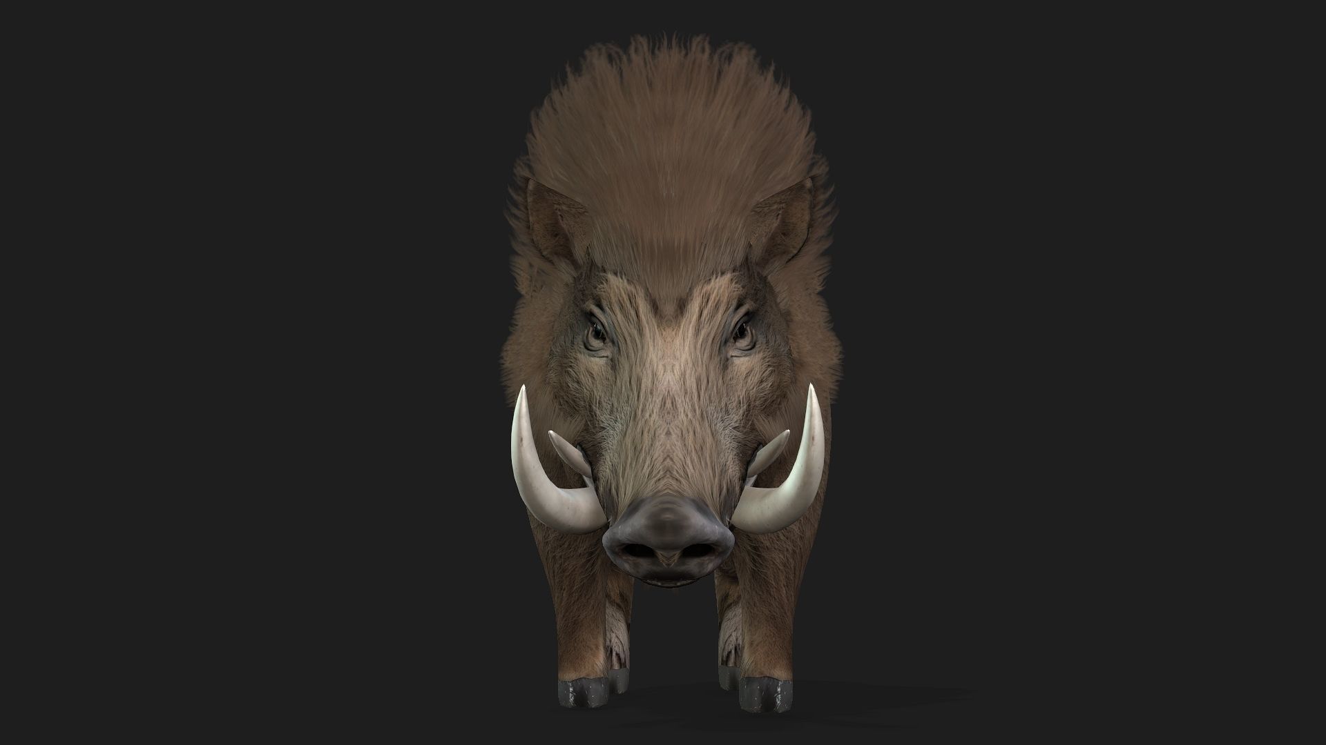 Boar-A2 3D model_11
