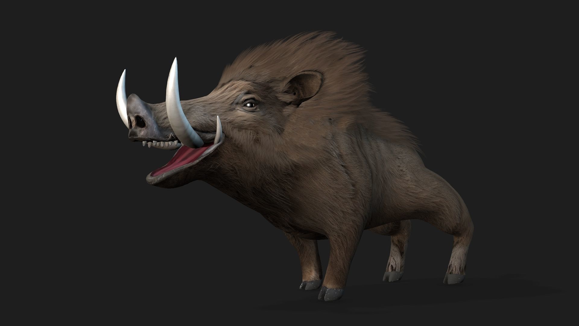 Boar-A2 3D model_13