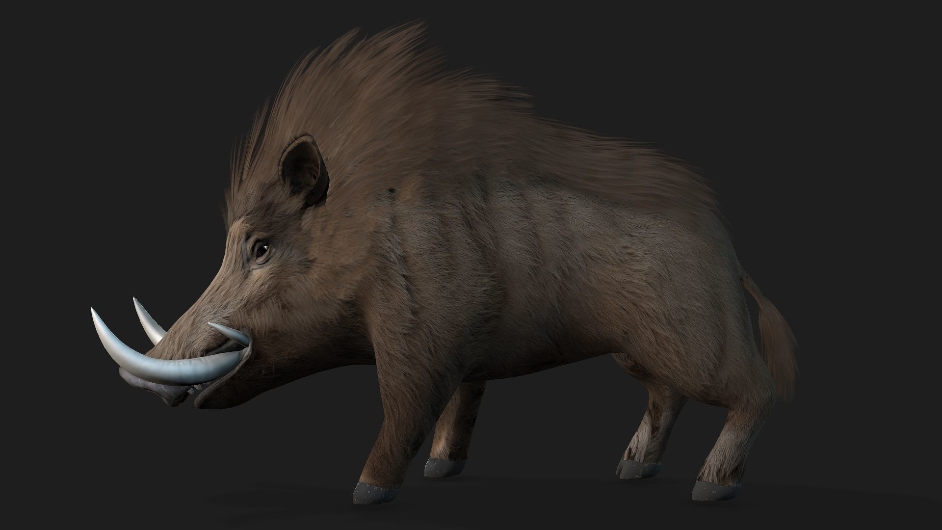 Boar-A2 3D model_9