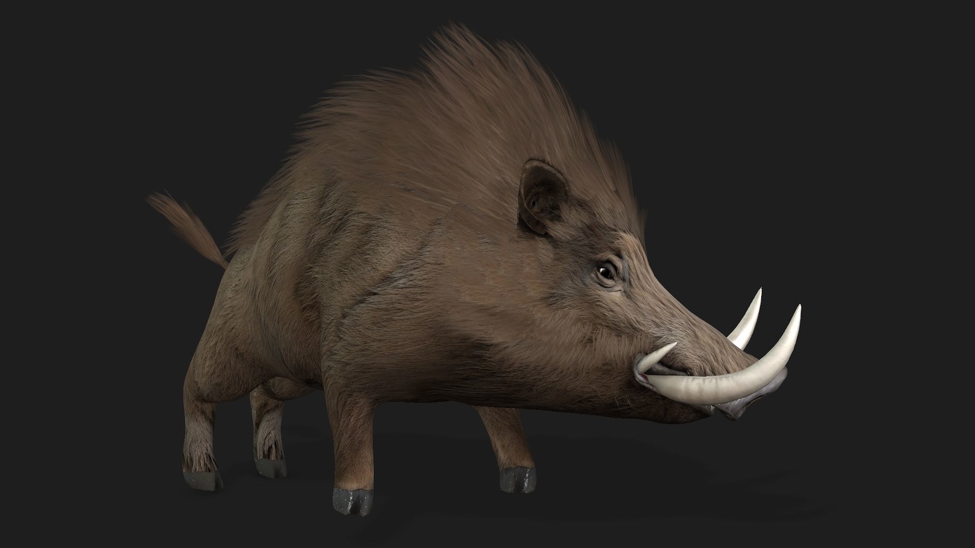 Boar-A2 3D model_6