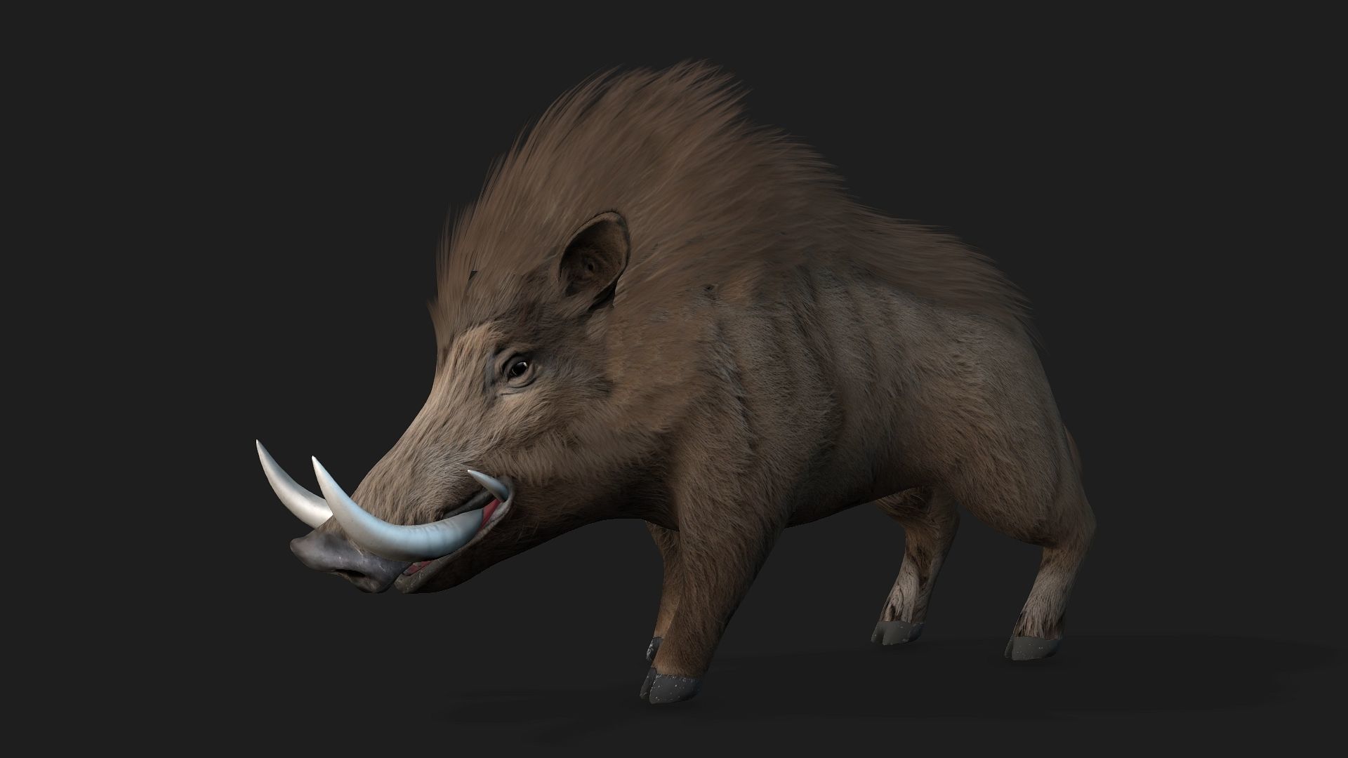 Boar-A2 3D model_2