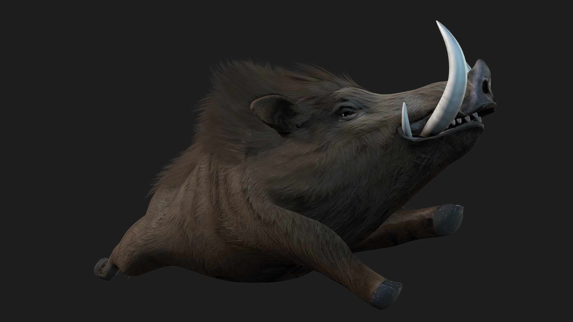 Boar-A2 3D model_16