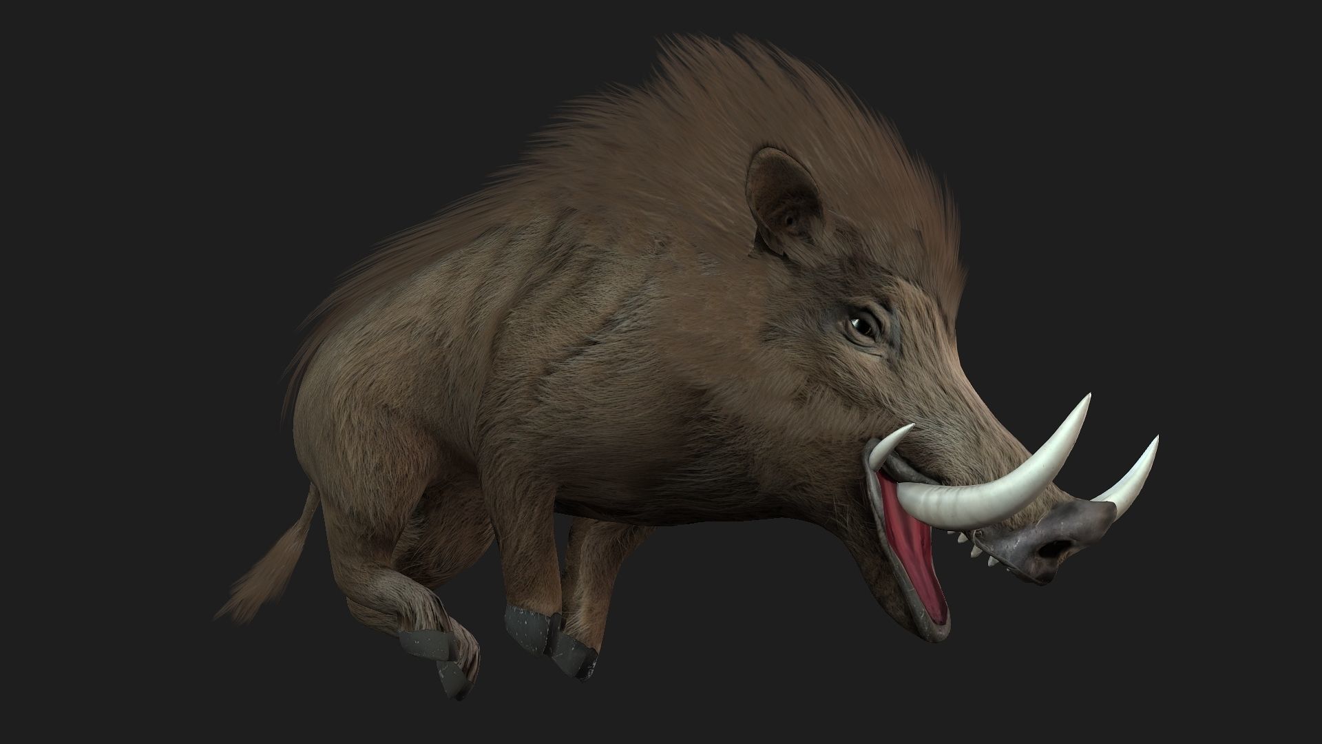 Boar-A2 3D model_4