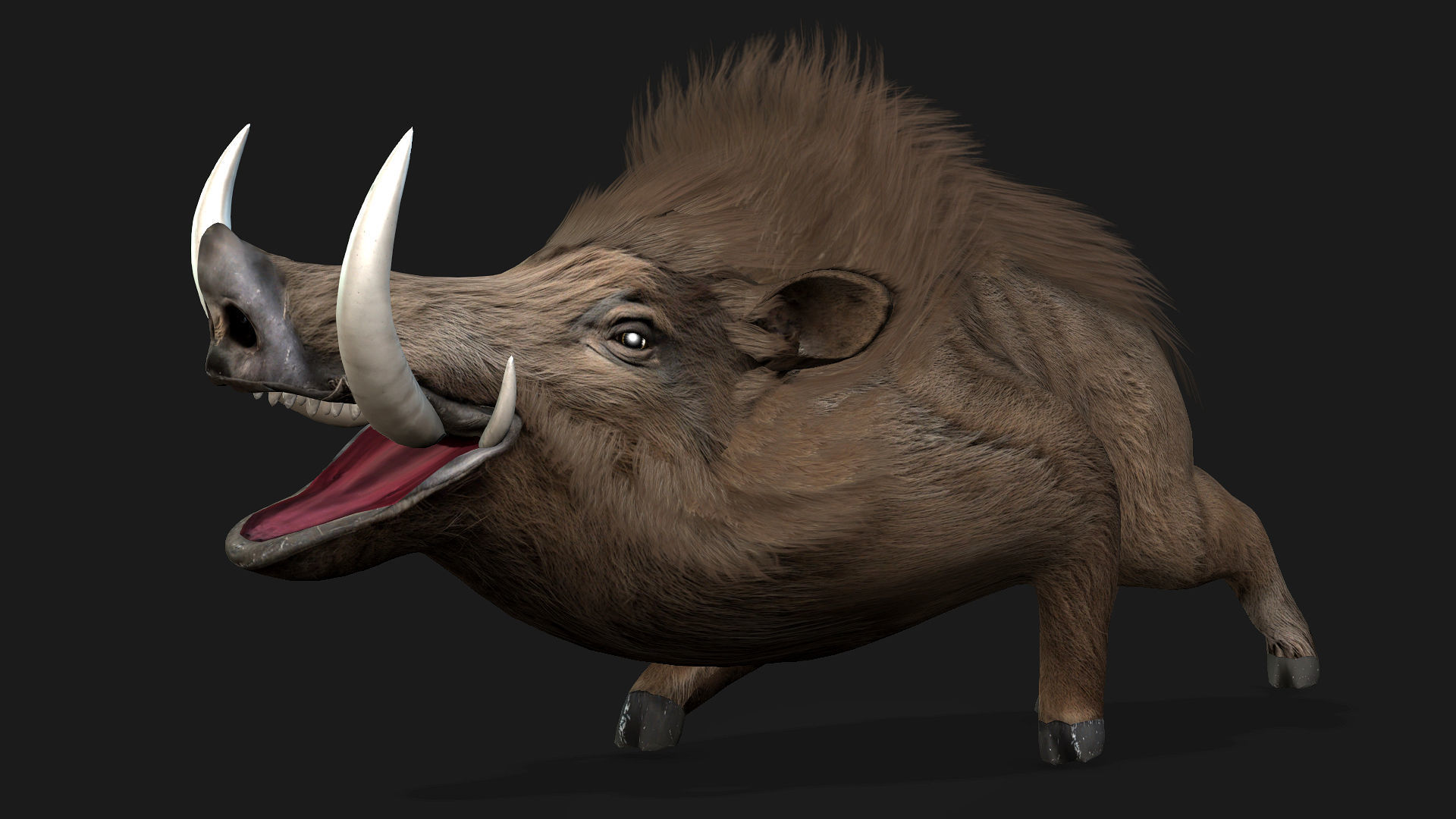 Boar-A2 3D model_5