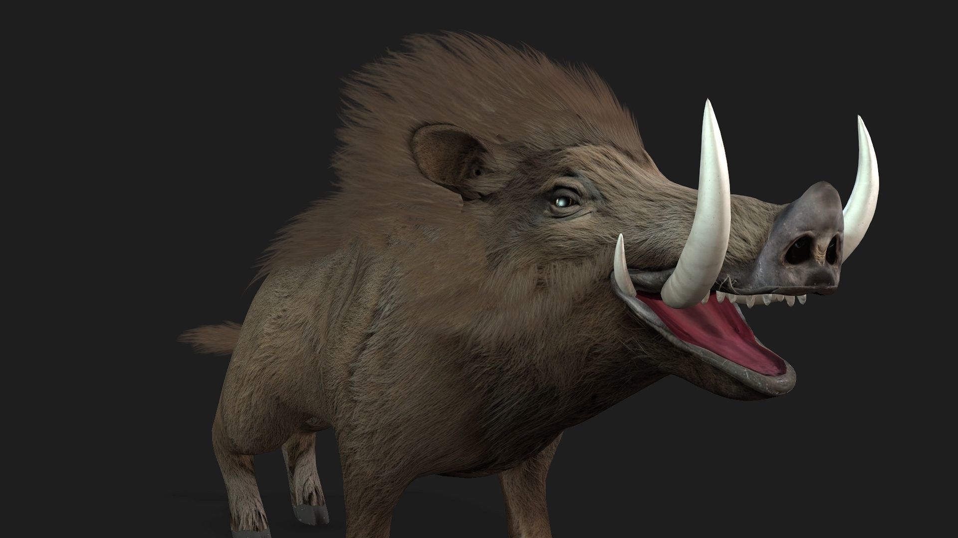 Boar-A2 3D model_14