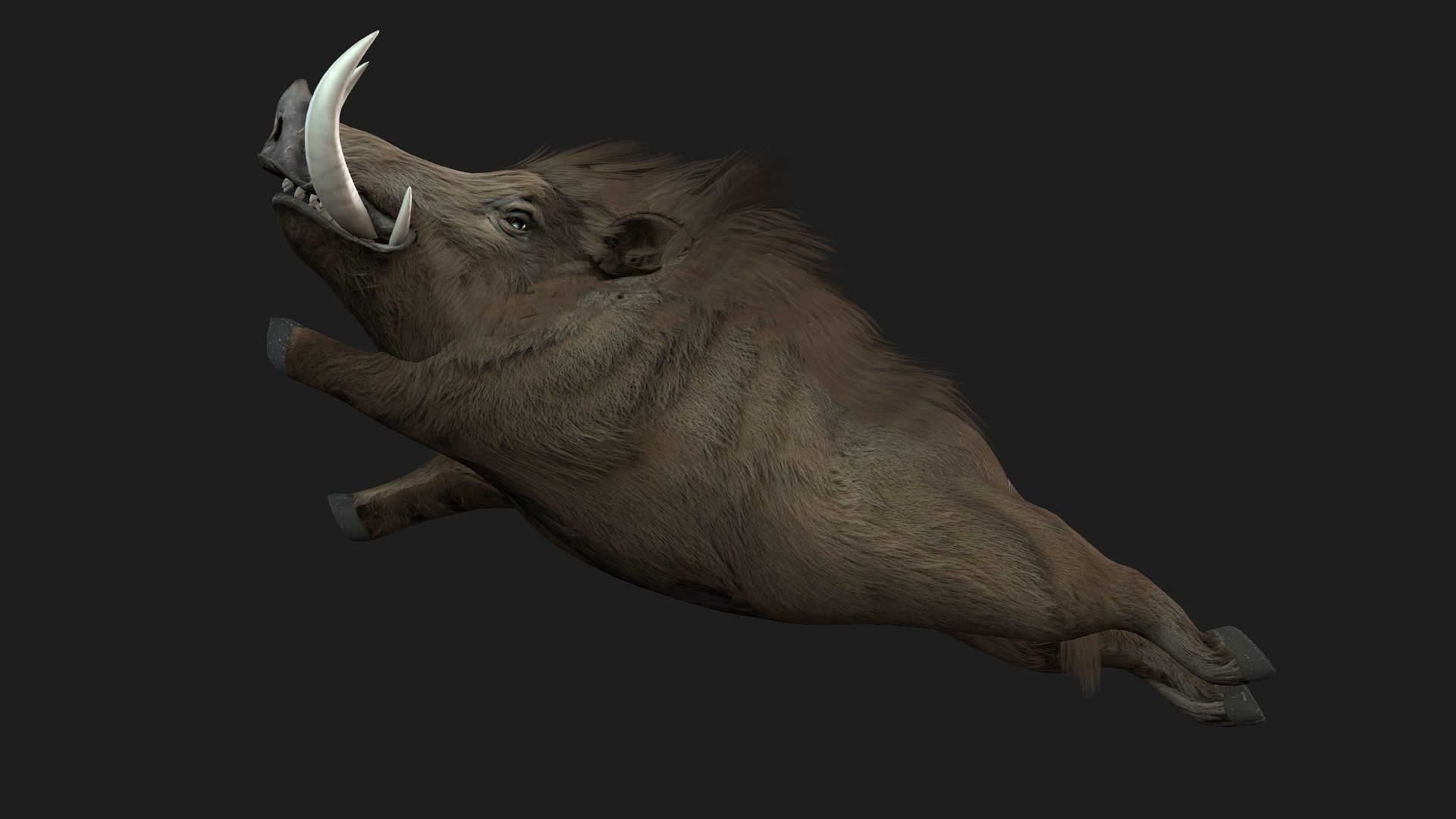 Boar-A2 3D model_15